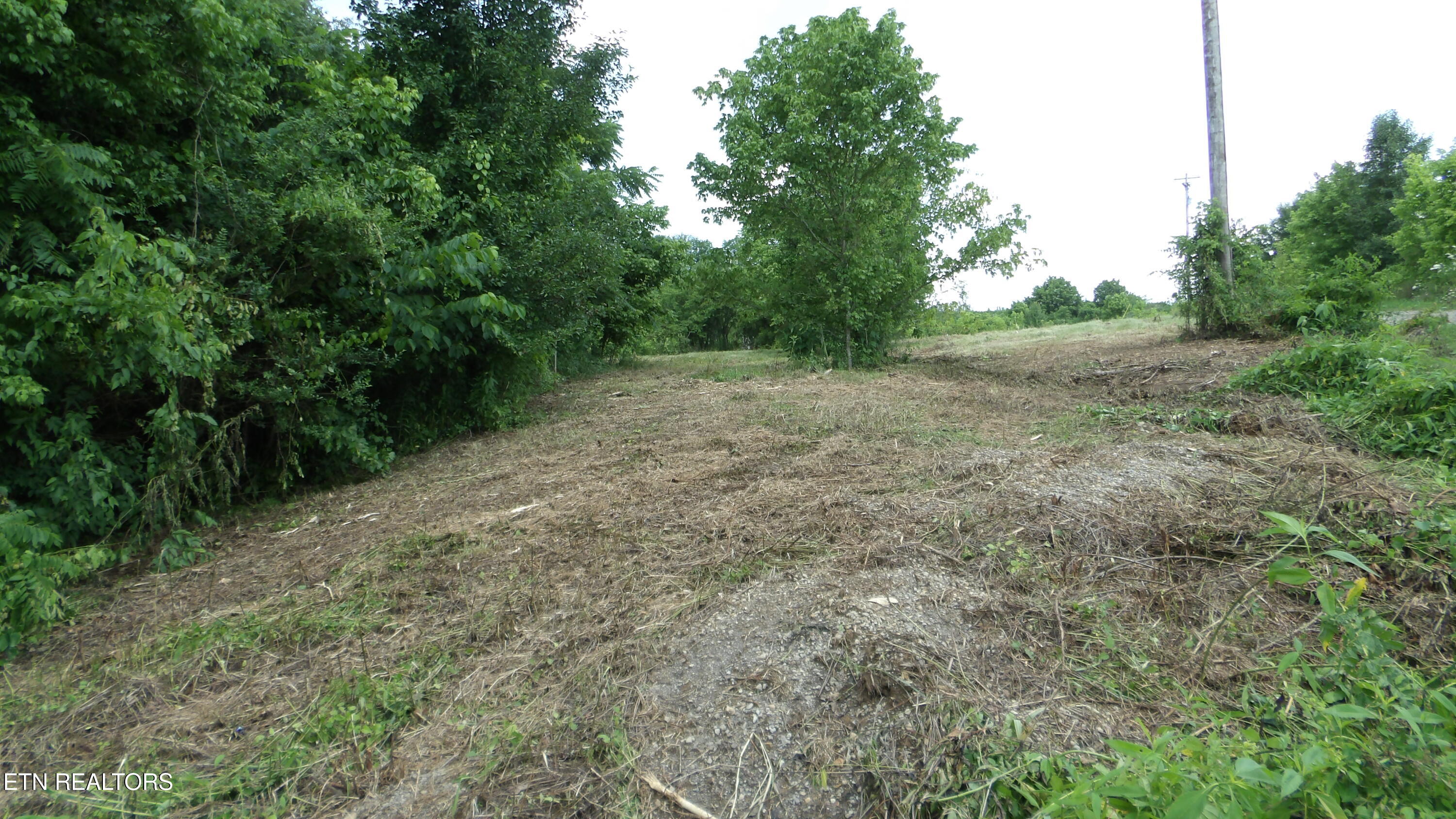5.6 Ac Lonnie Reecer Road Celina TN 38551