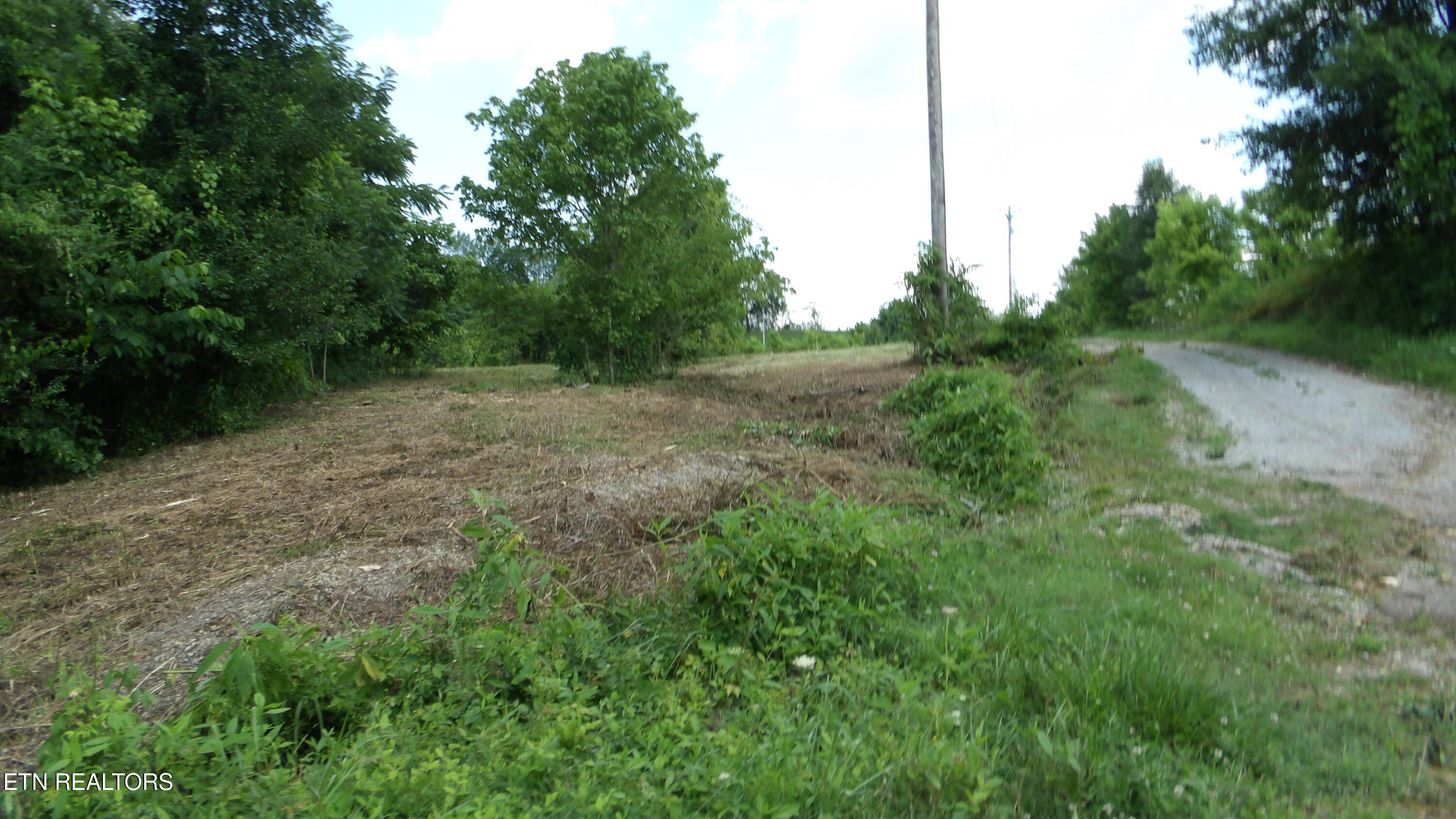 5.6 Ac Lonnie Reecer Road Celina TN 38551