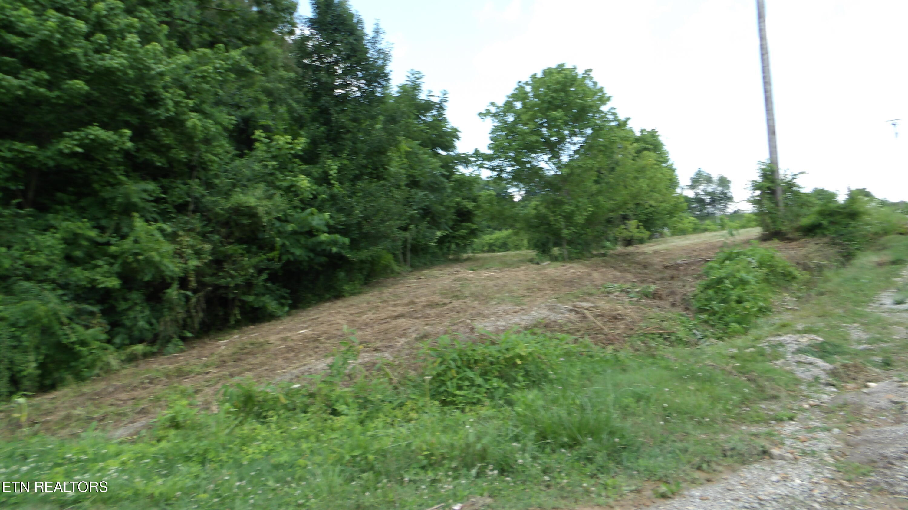 5.6 Ac Lonnie Reecer Road Celina TN 38551
