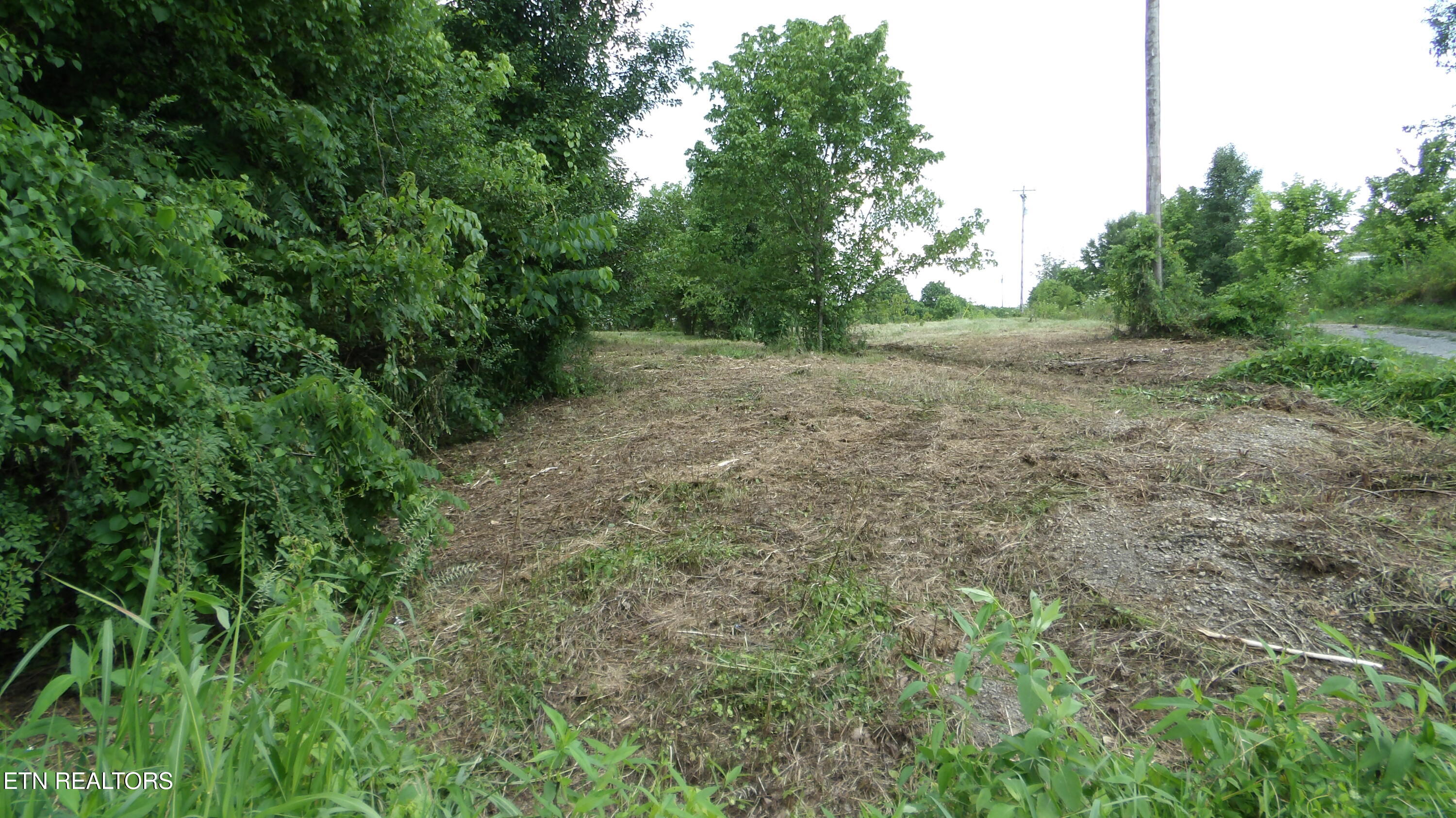 5.6 Ac Lonnie Reecer Road Celina TN 38551