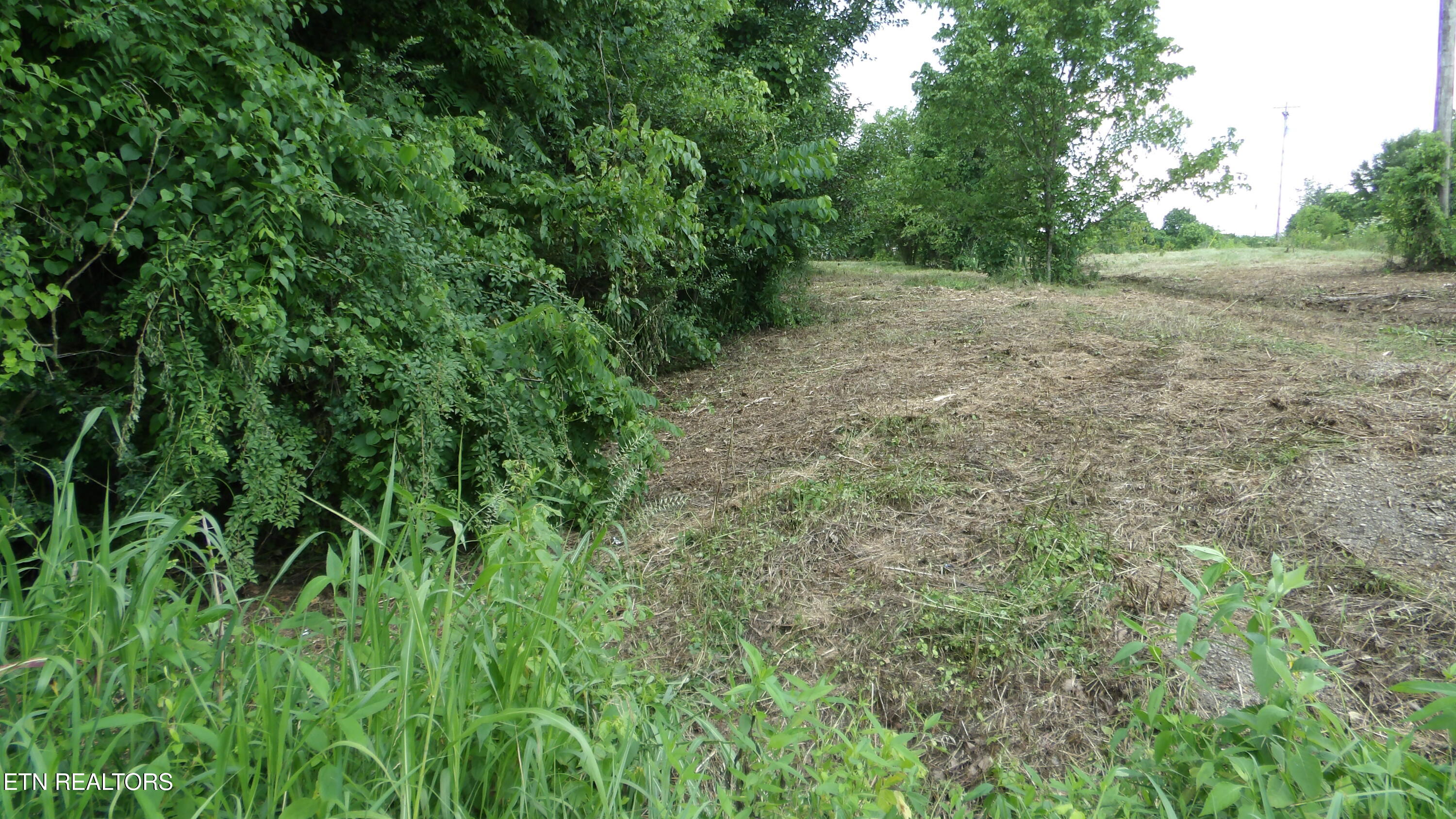 5.6 Ac Lonnie Reecer Road Celina TN 38551