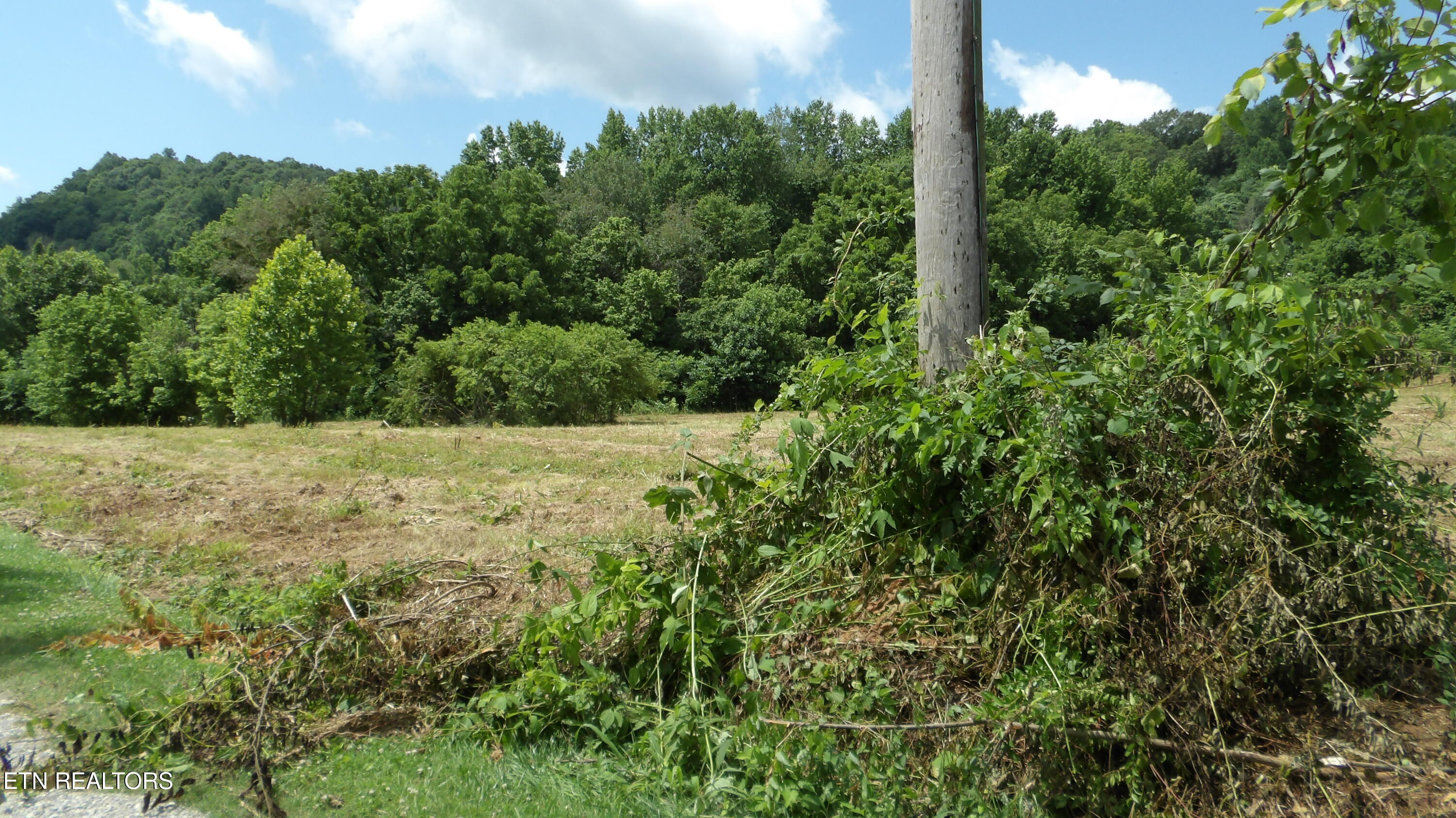 5.6 Ac Lonnie Reecer Road Celina TN 38551