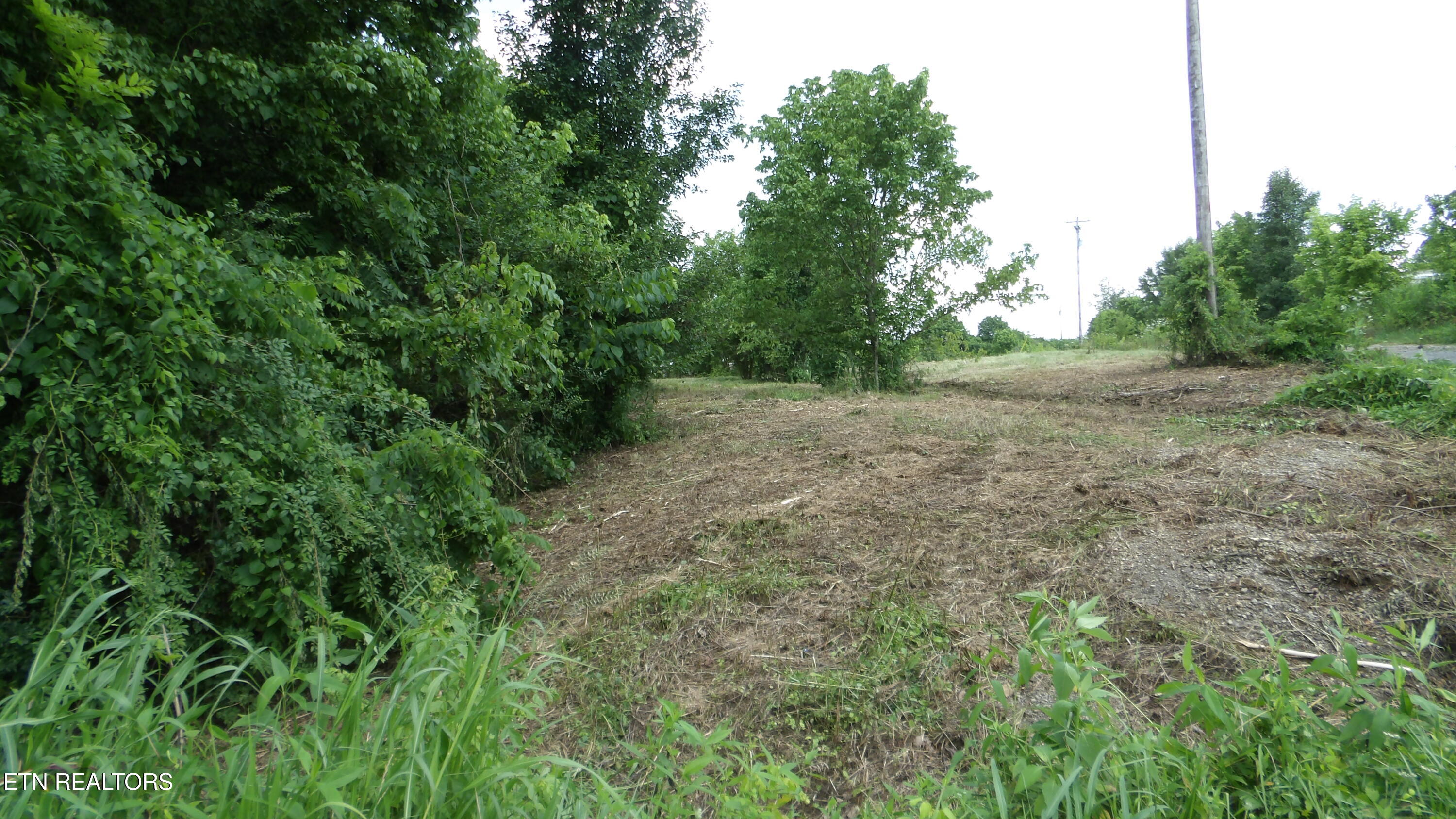 5.6 Ac Lonnie Reecer Road Celina TN 38551