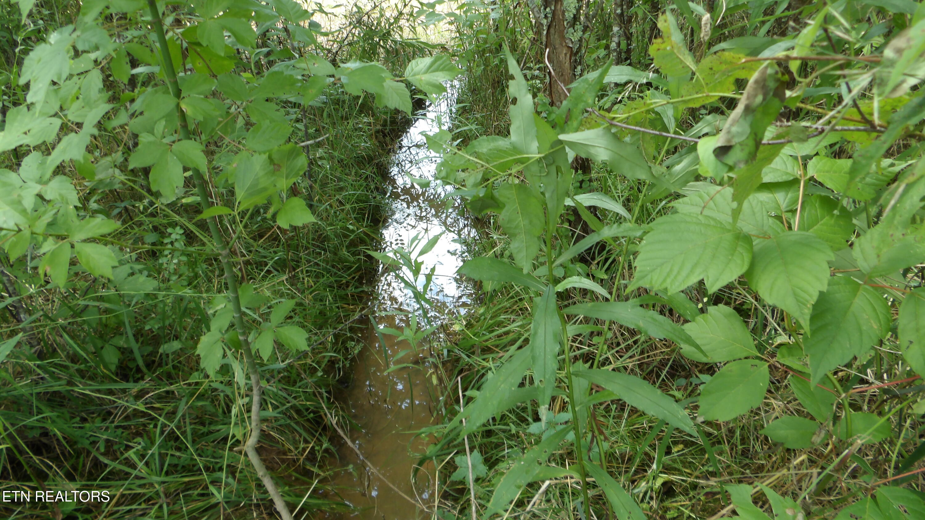 5.6 Ac Lonnie Reecer Road Celina TN 38551