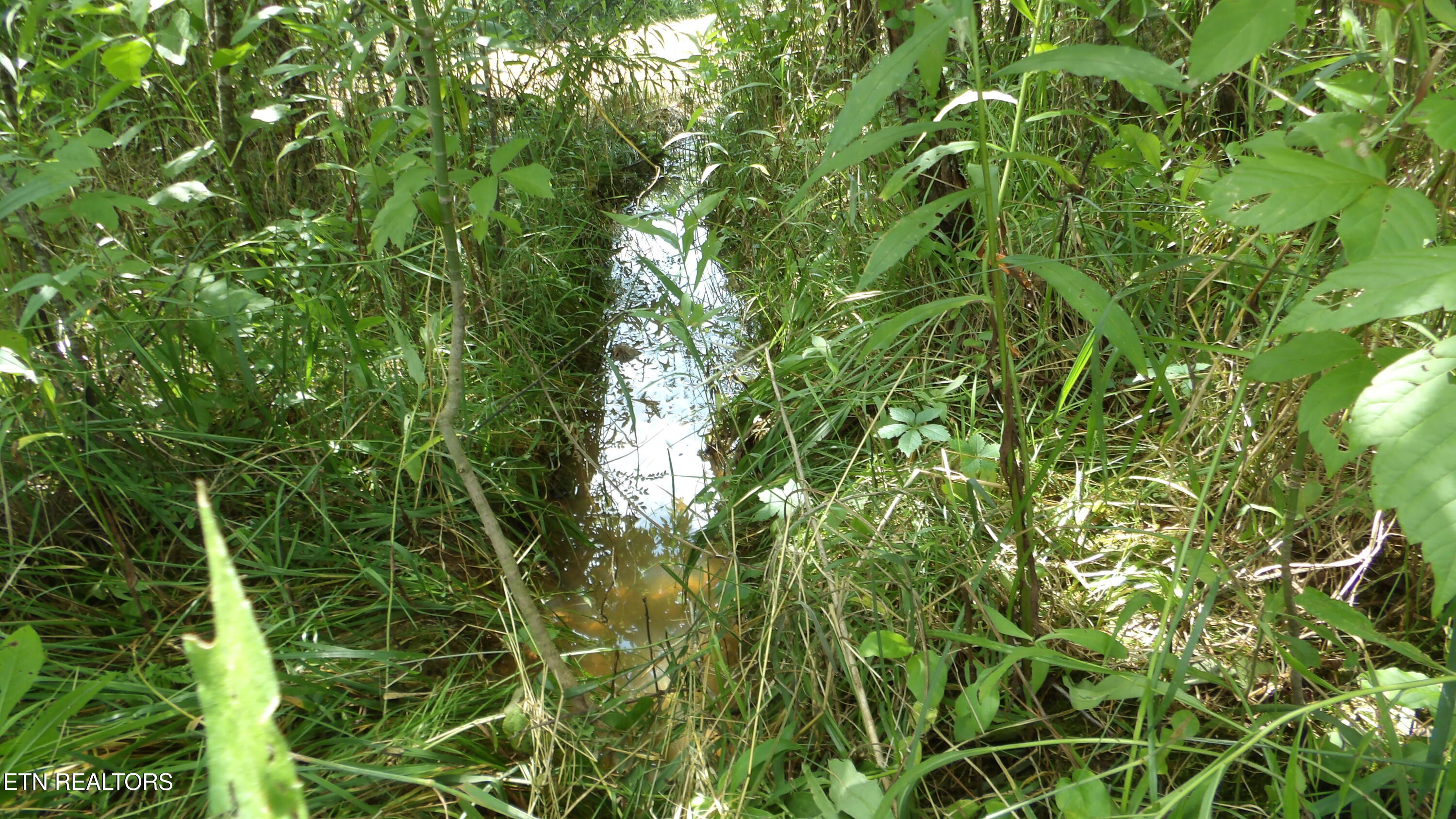 5.6 Ac Lonnie Reecer Road Celina TN 38551