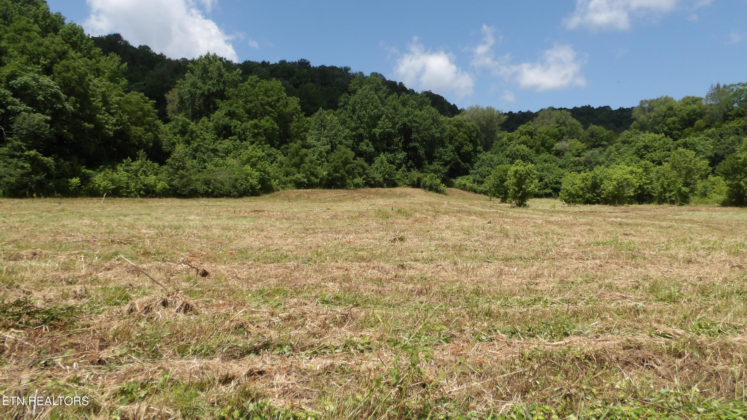 5.6 Ac Lonnie Reecer Road Celina TN 38551