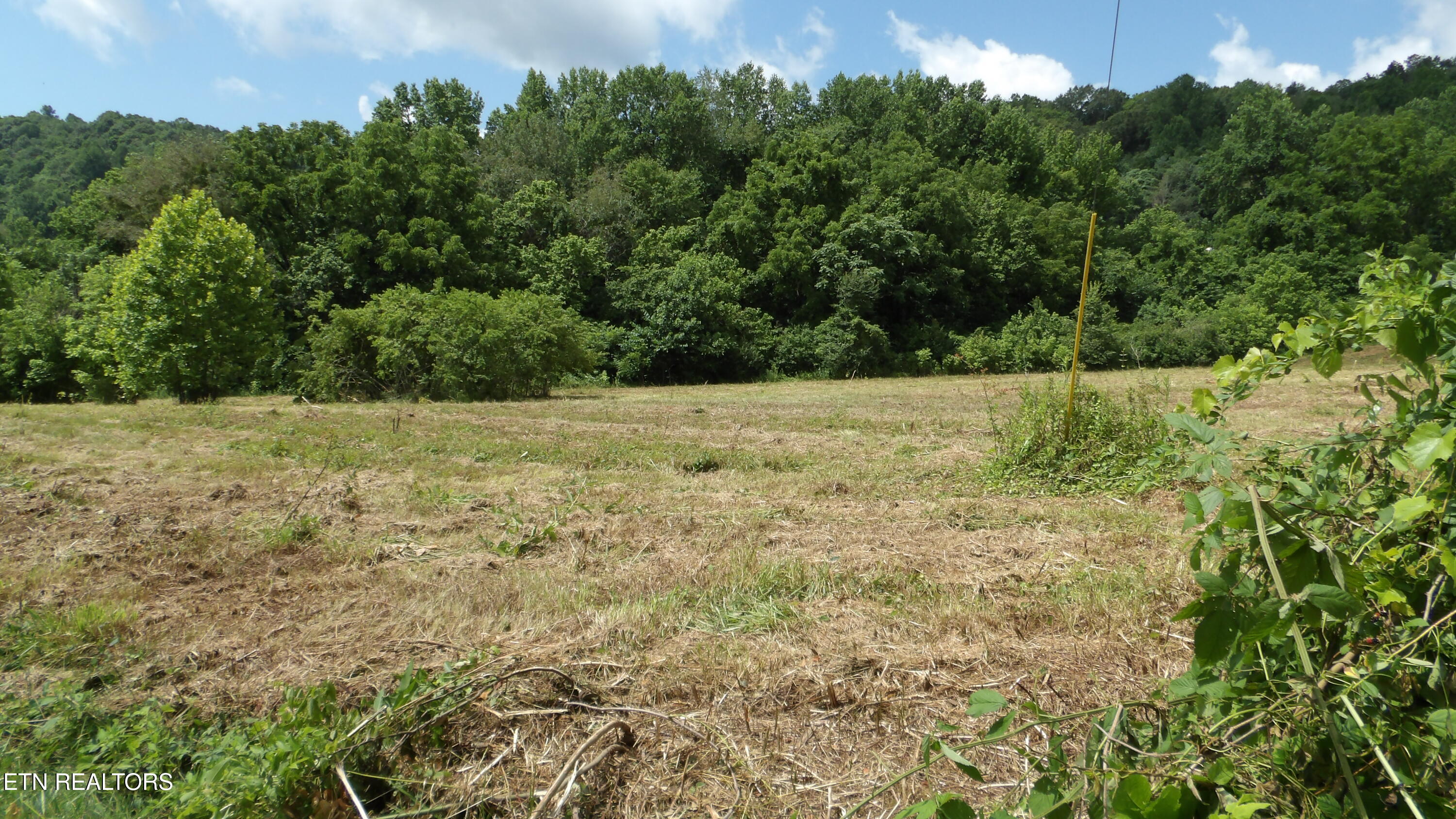 5.6 Ac Lonnie Reecer Road Celina TN 38551