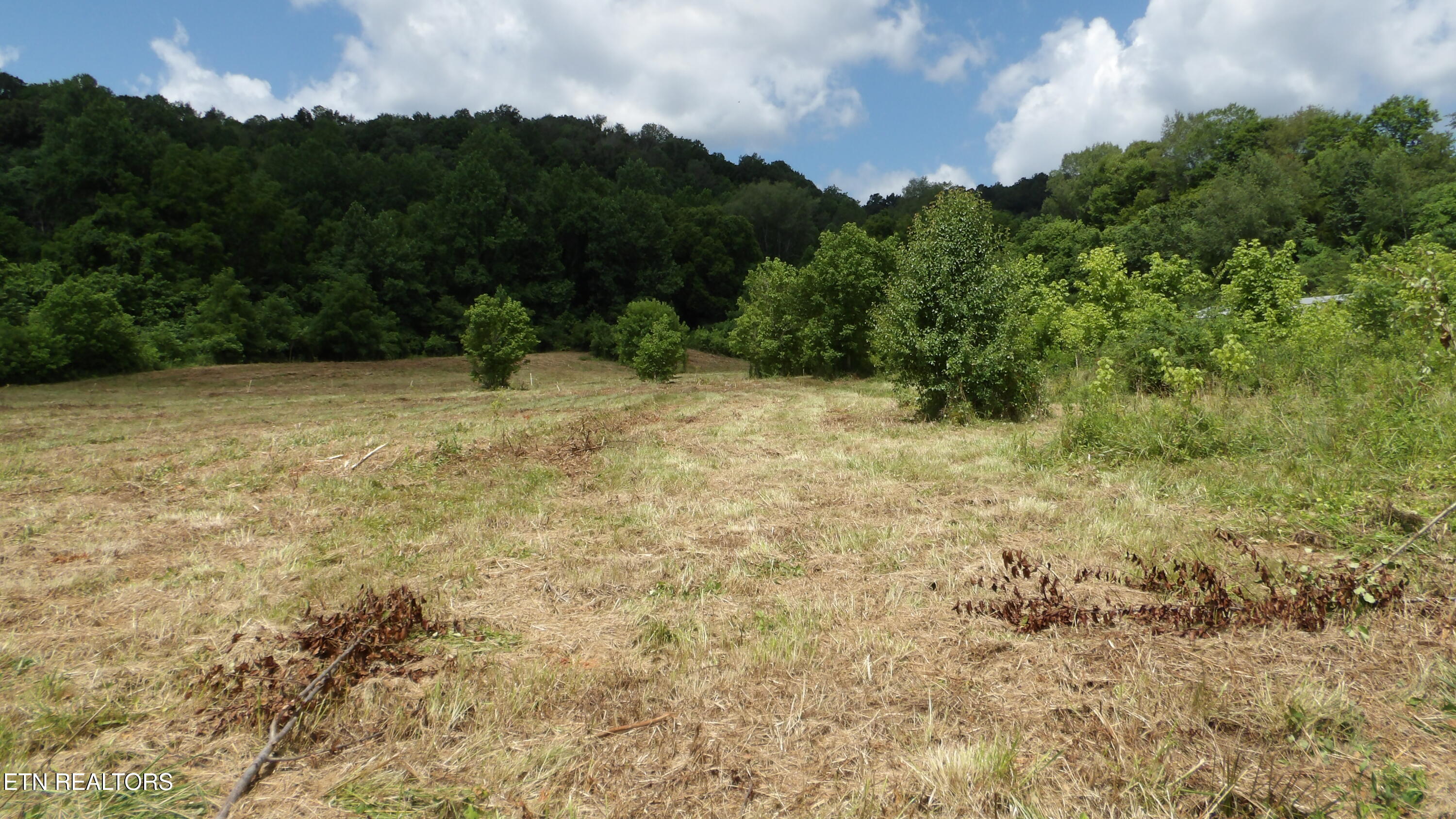 5.6 Ac Lonnie Reecer Road Celina TN 38551