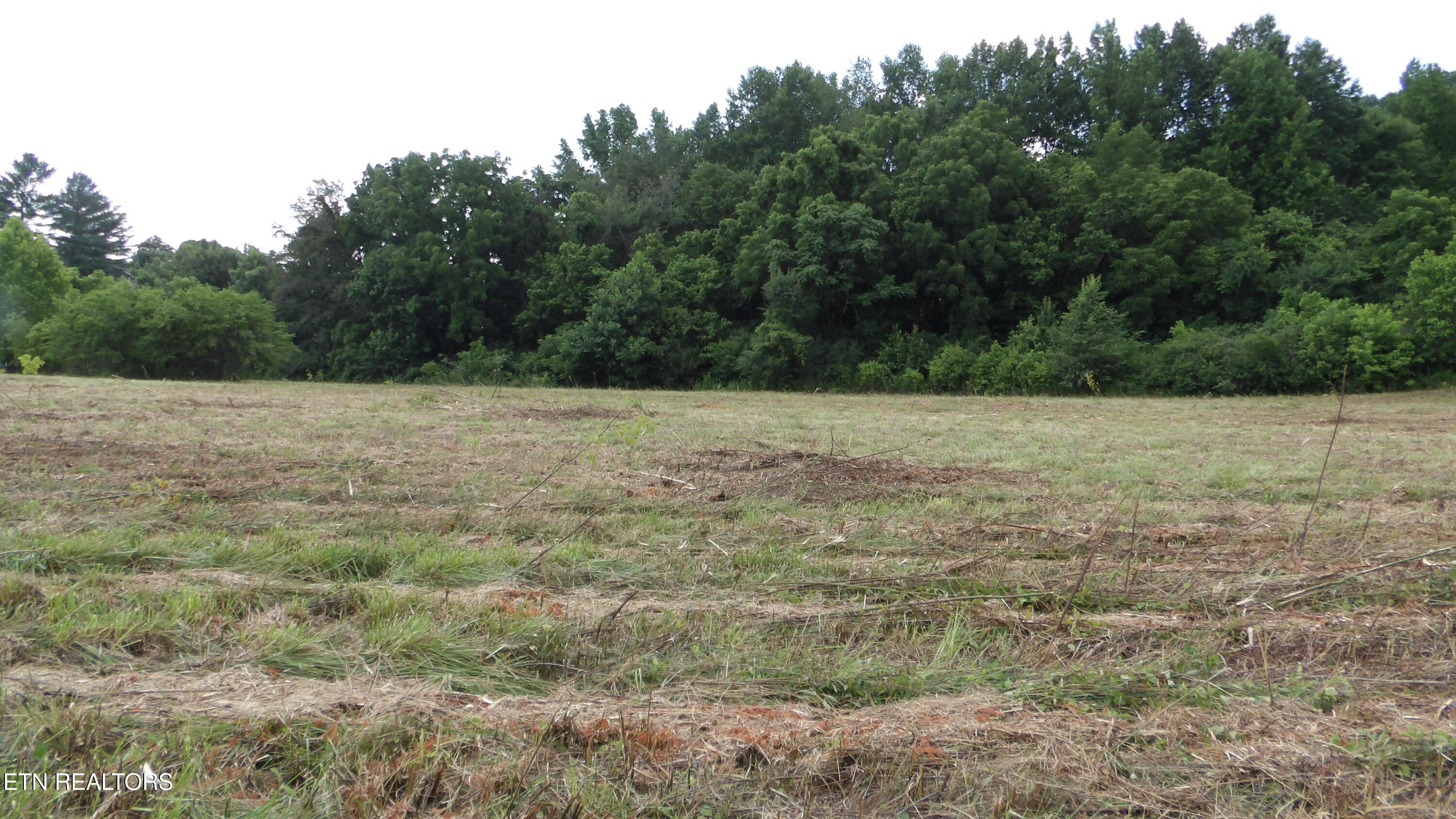 5.6 Ac Lonnie Reecer Road Celina TN 38551