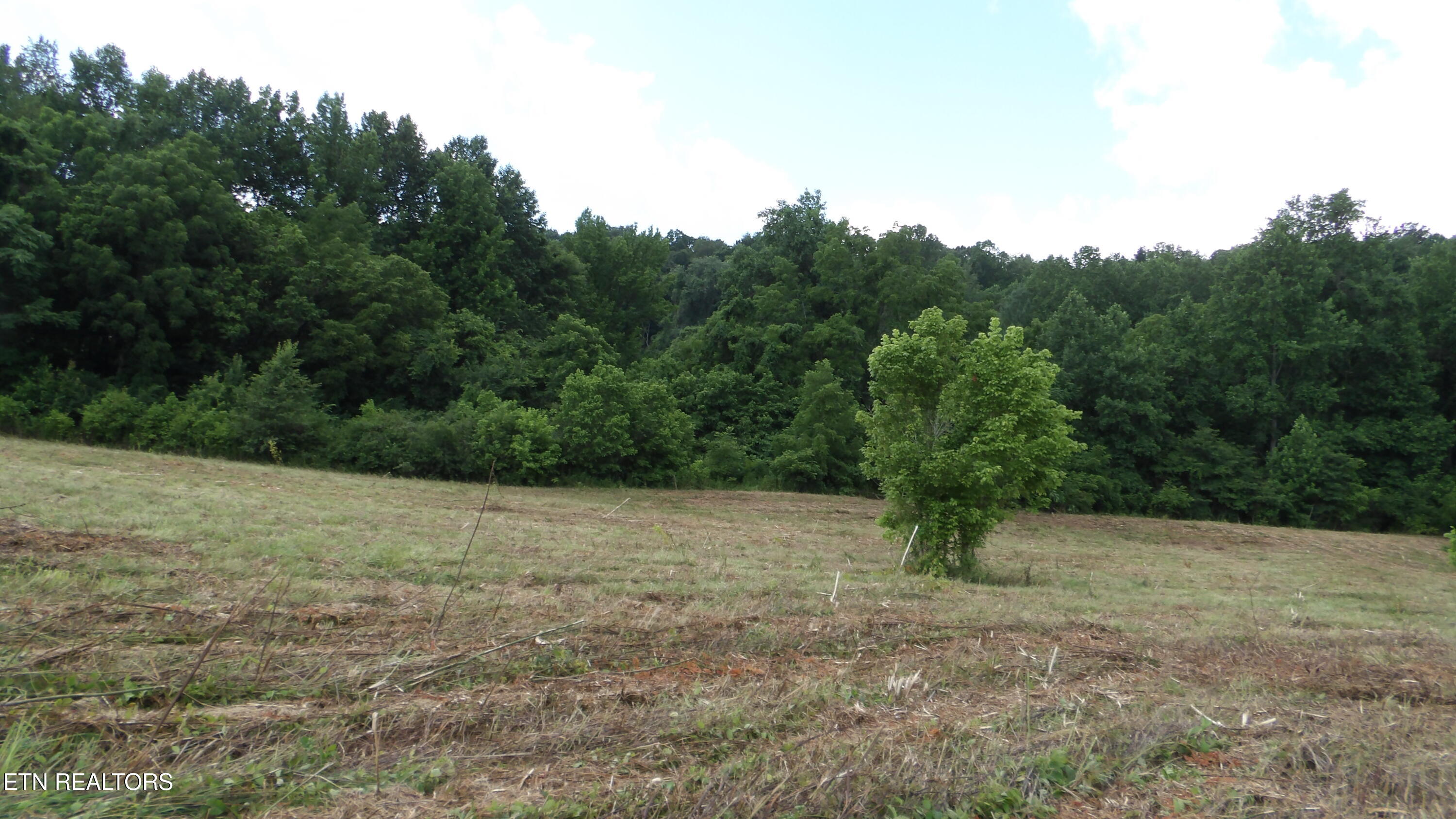 5.6 Ac Lonnie Reecer Road Celina TN 38551