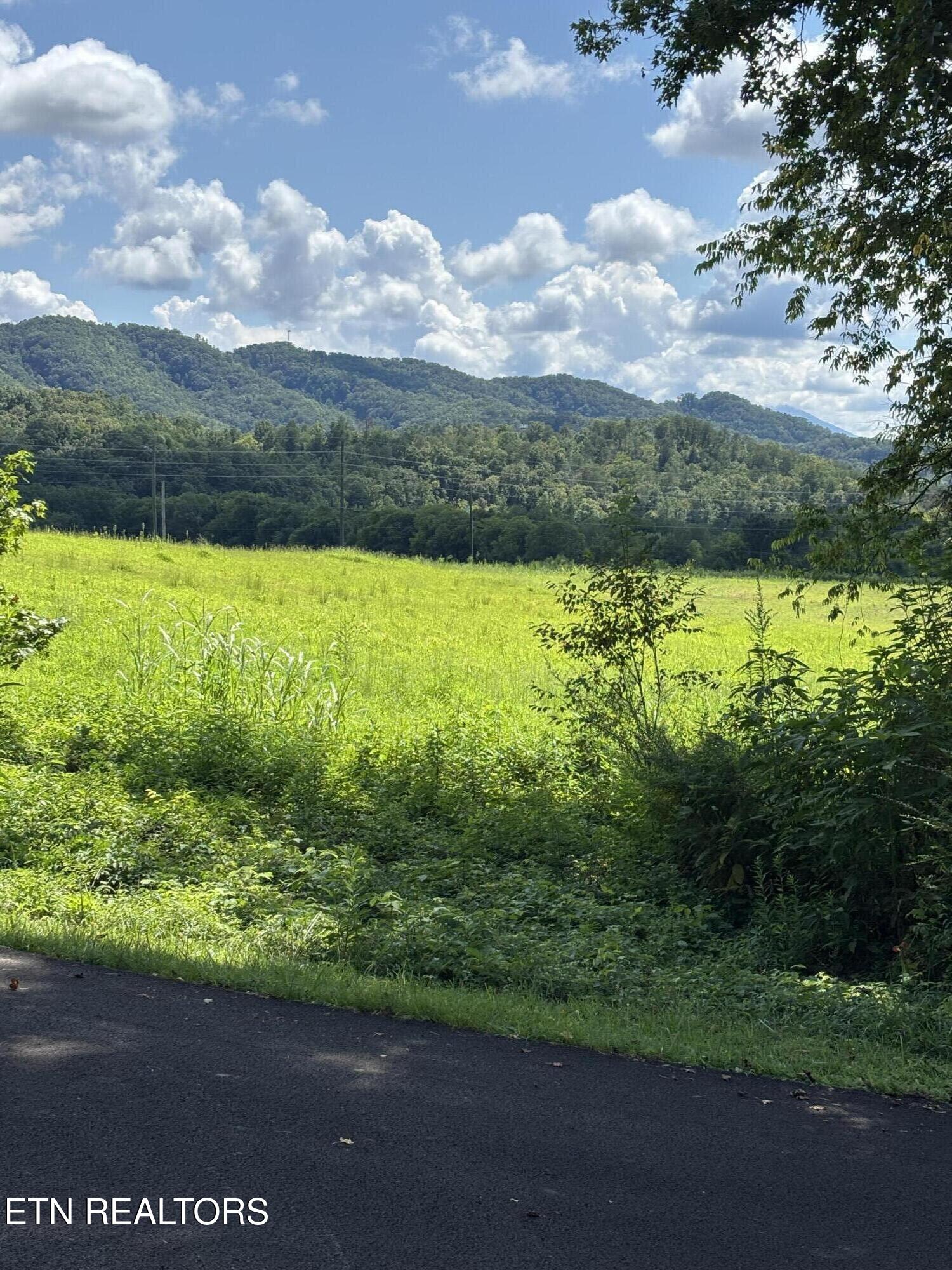 Canupp Drive Sevierville TN 37876