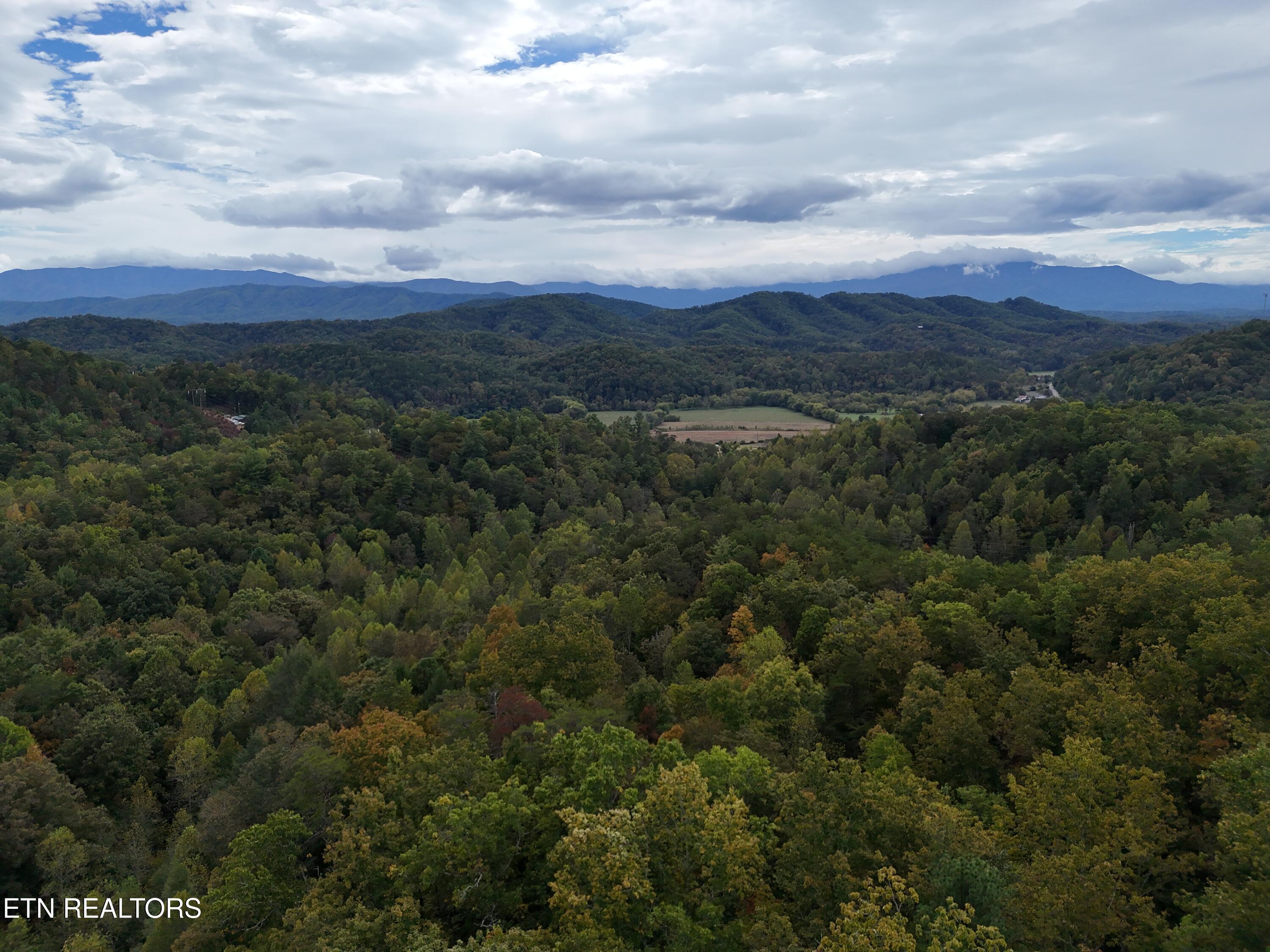 Canupp Drive Sevierville TN 37876