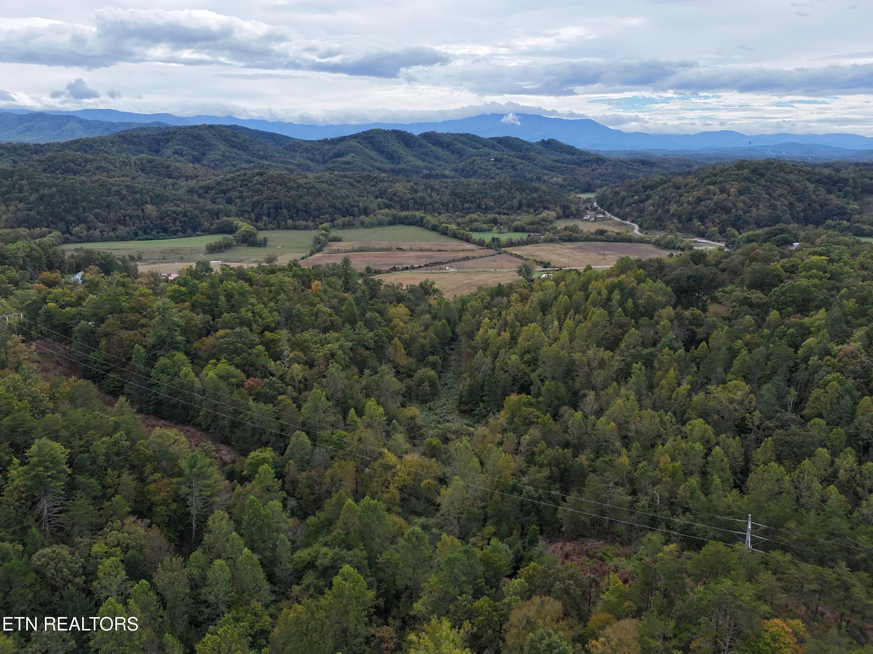 Canupp Drive Sevierville TN 37876