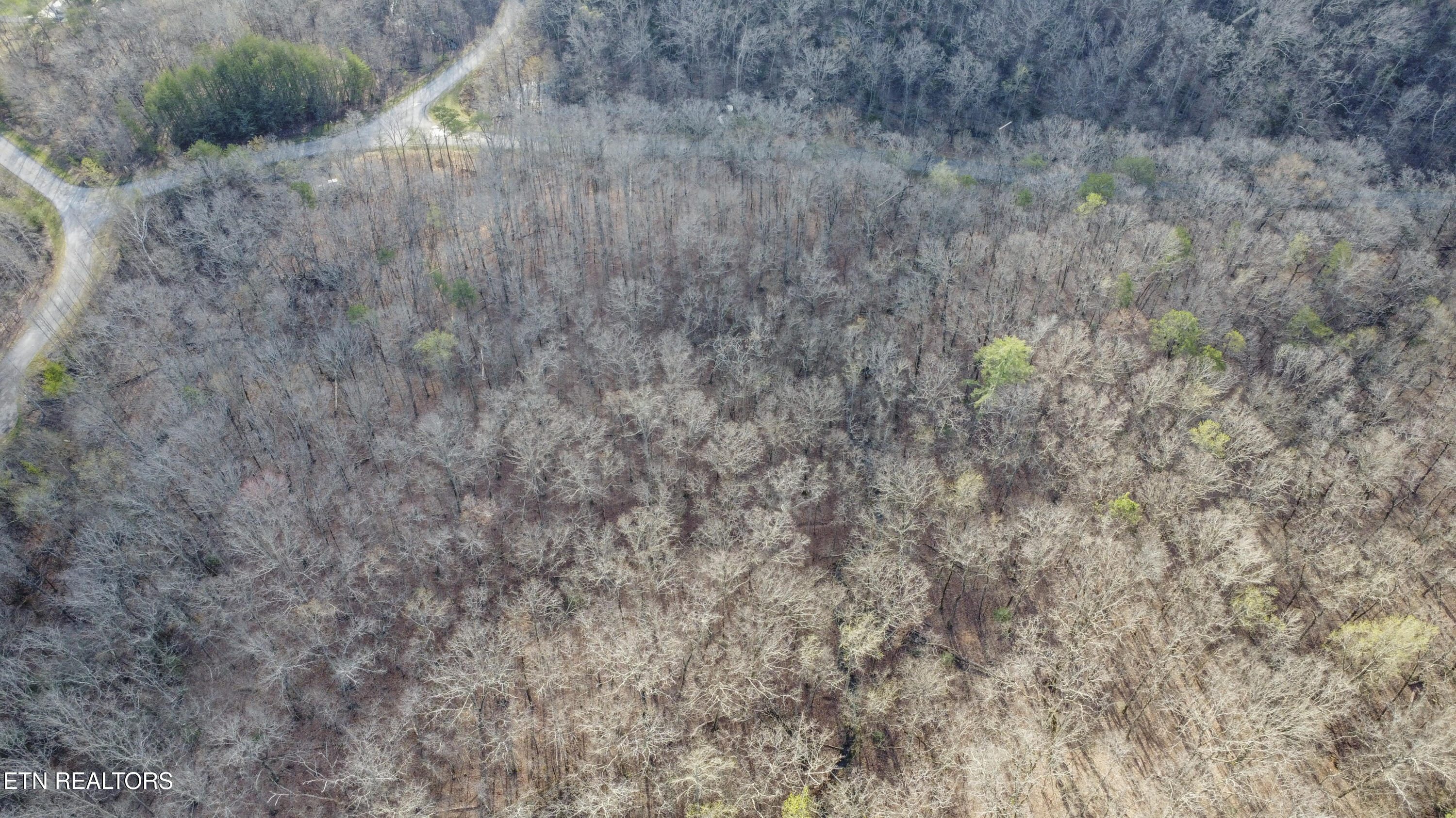 Lot 435 Hidden Oaks Road Rockwood TN 37854