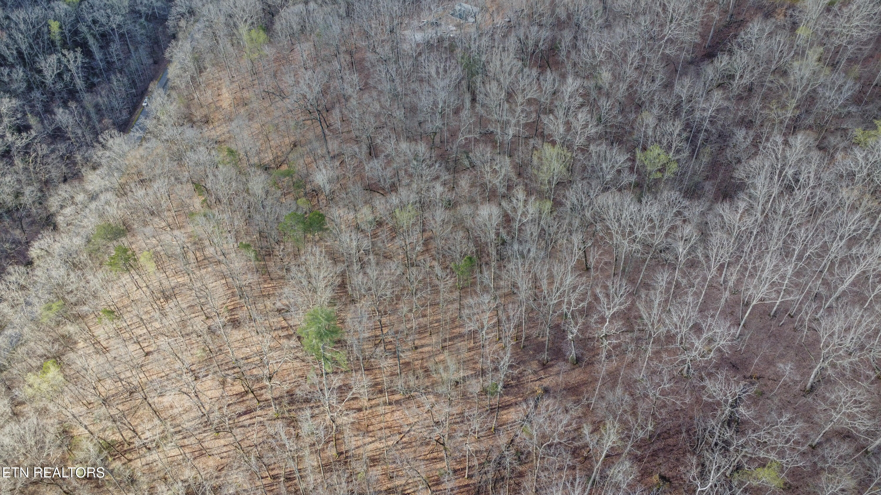 Lot 435 Hidden Oaks Road Rockwood TN 37854