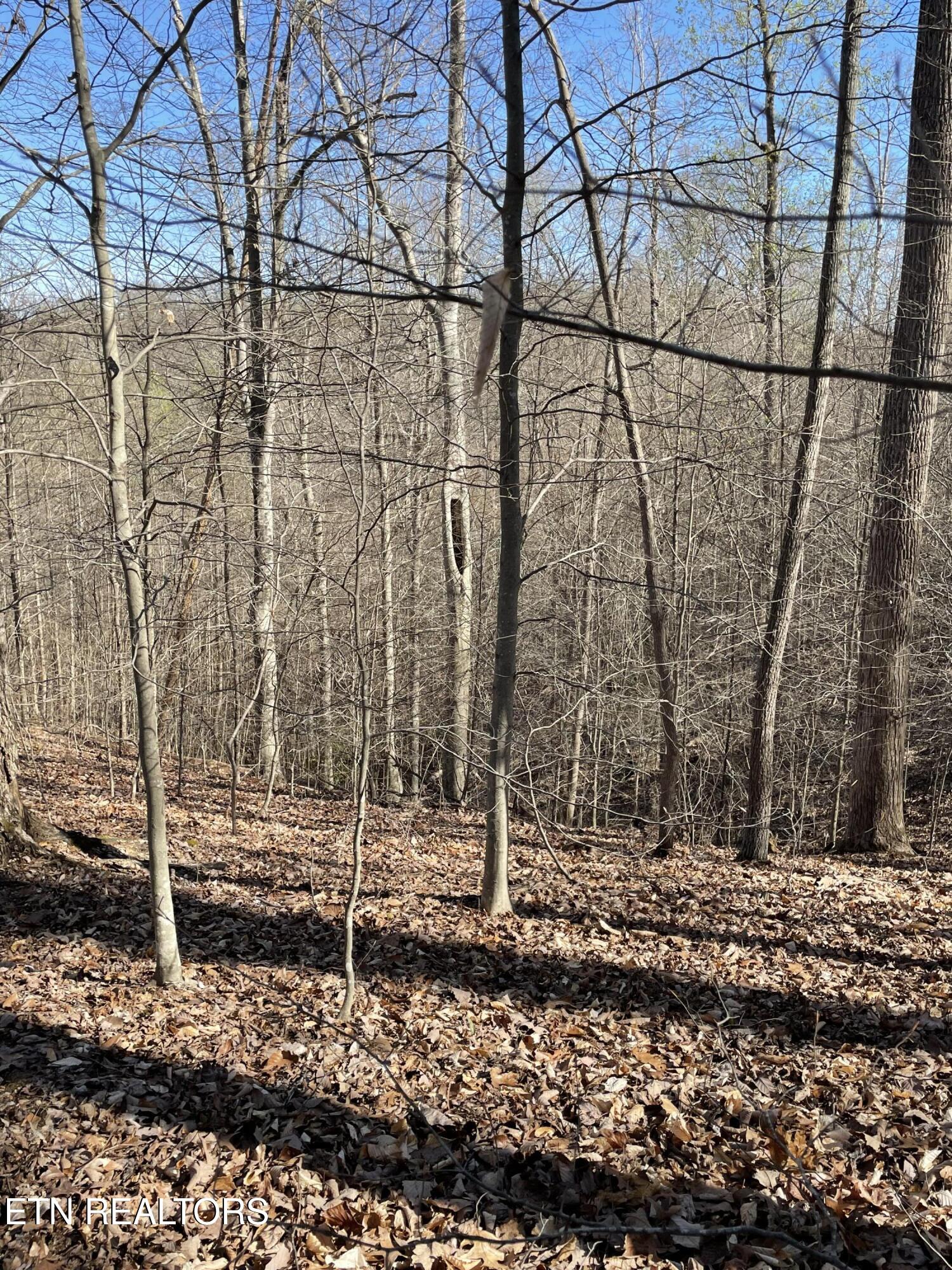 N Center Ridge Place Baneberry TN 37890