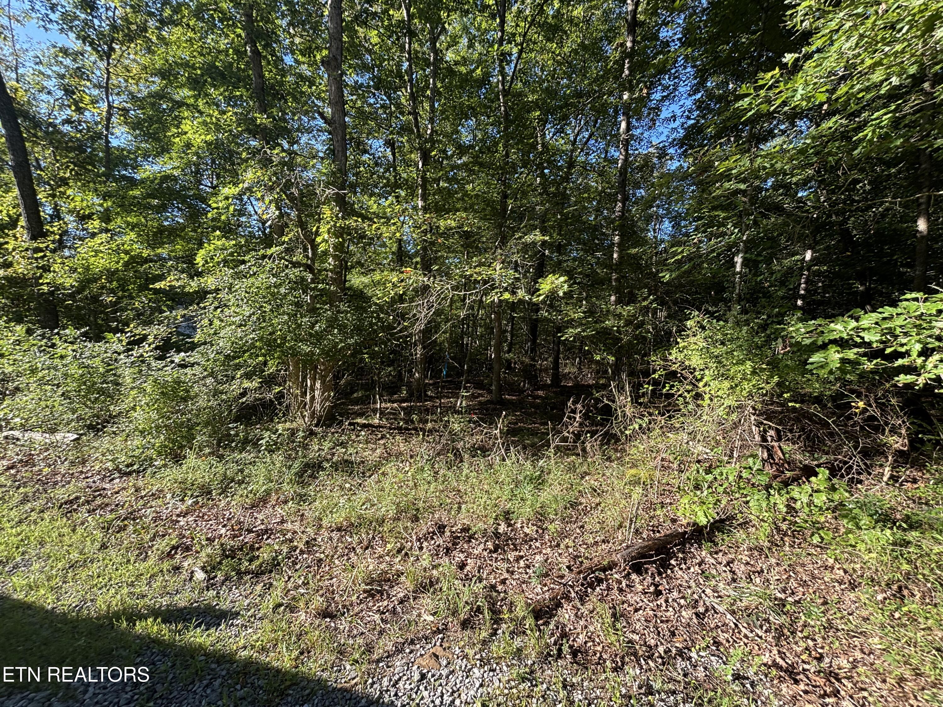 5054 Chinook Lane Crossville TN 38572