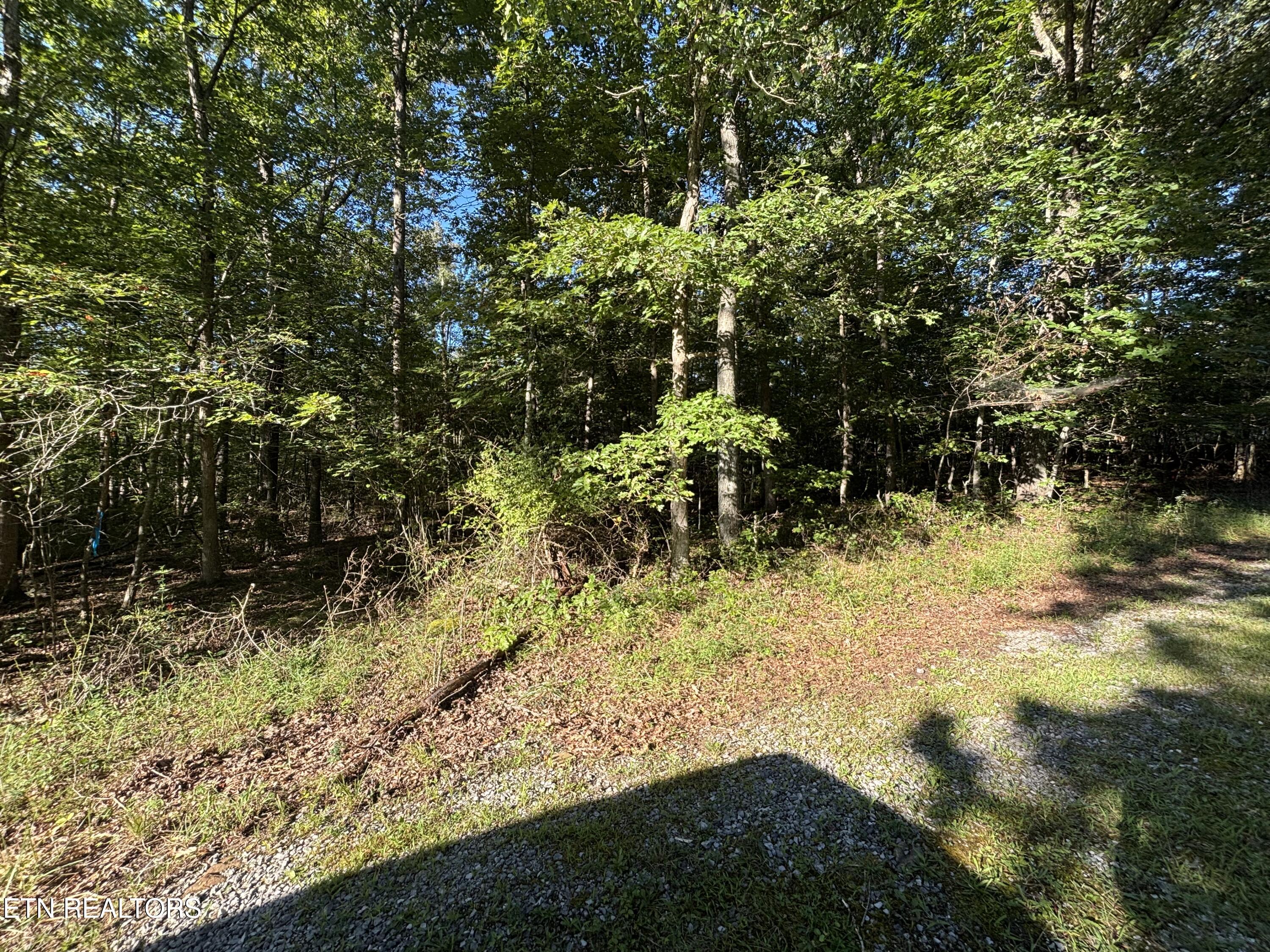 5054 Chinook Lane Crossville TN 38572