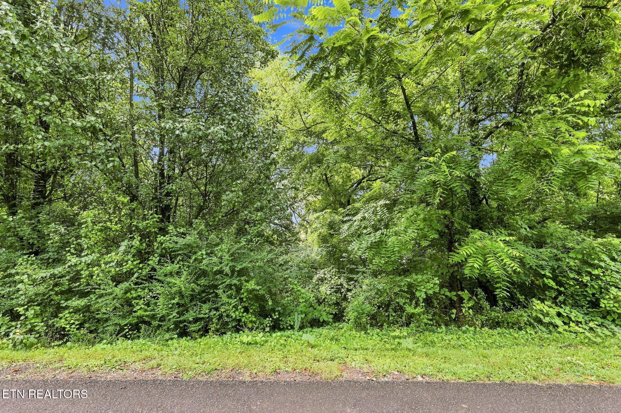 4332 Apex Drive Knoxville TN 37919
