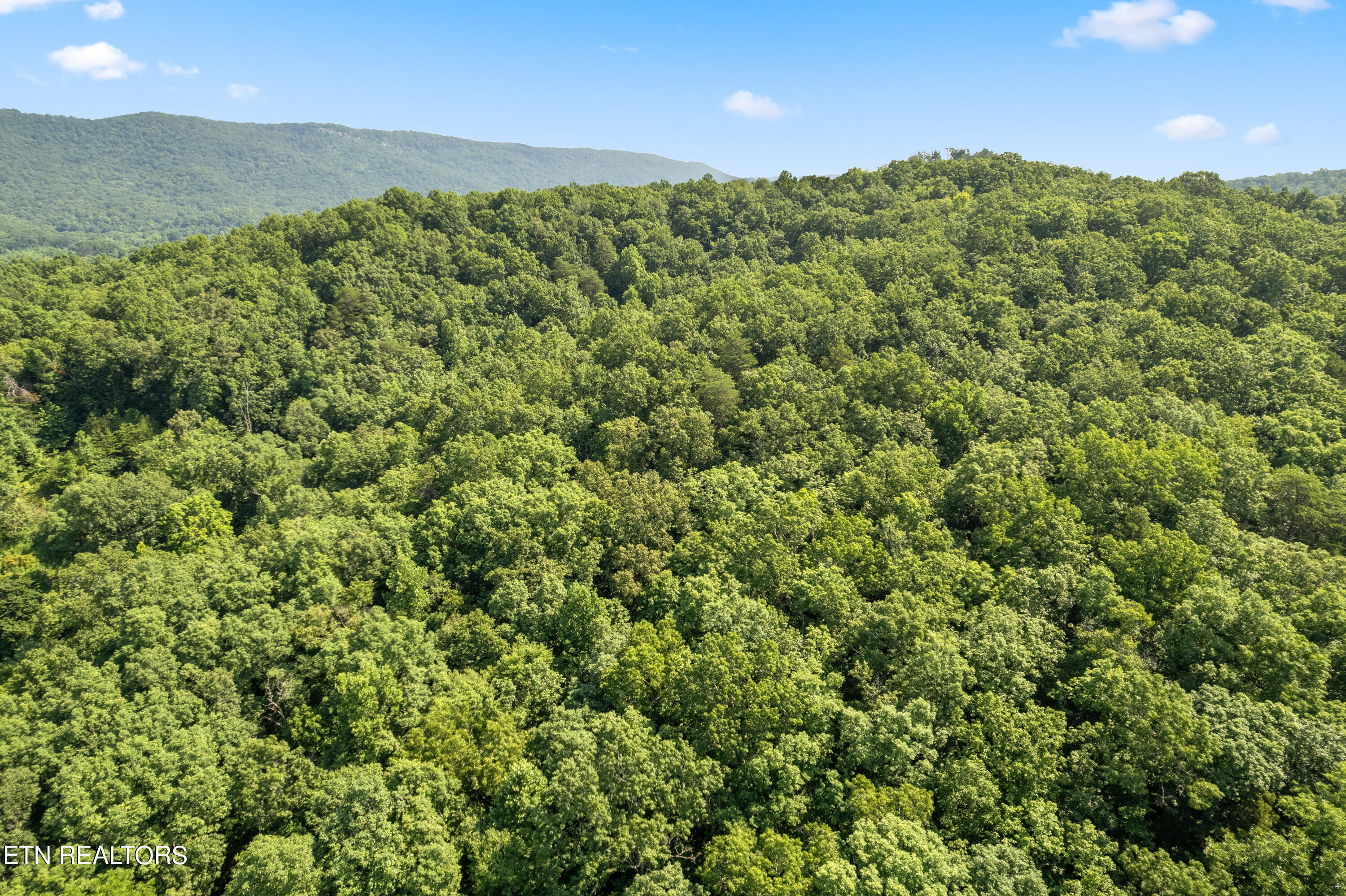 S S Roane Street Harriman TN 37748