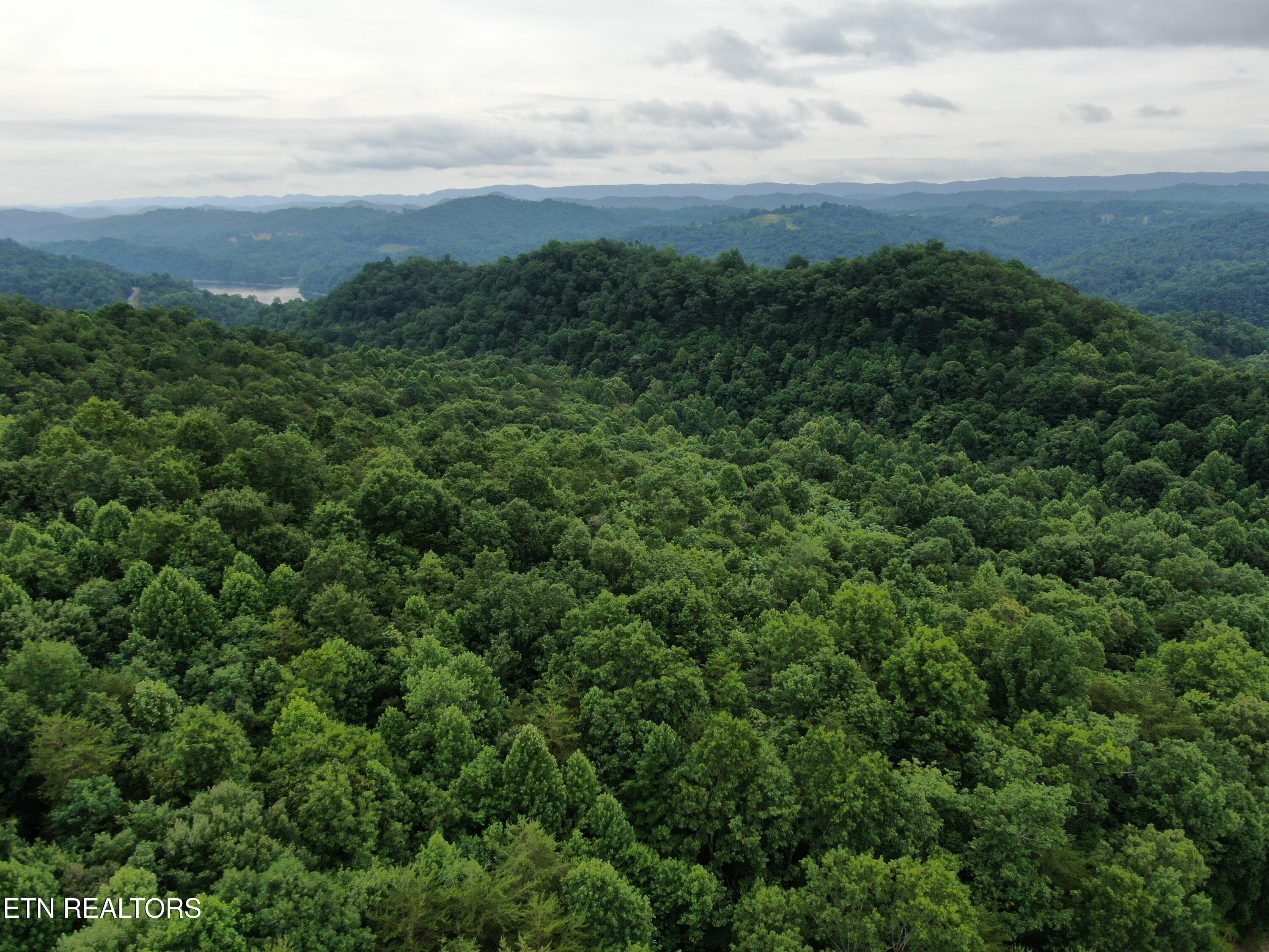 171 Bluff View Road New Tazewell TN 37825