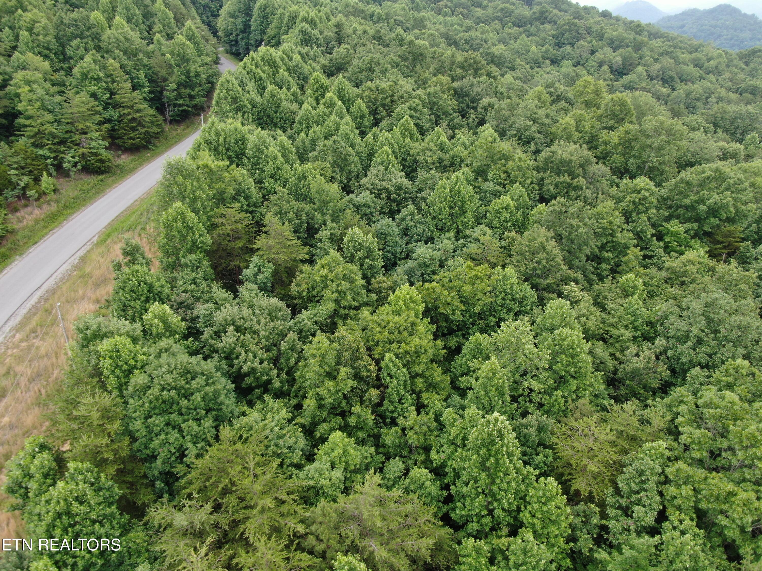 171 Bluff View Road New Tazewell TN 37825
