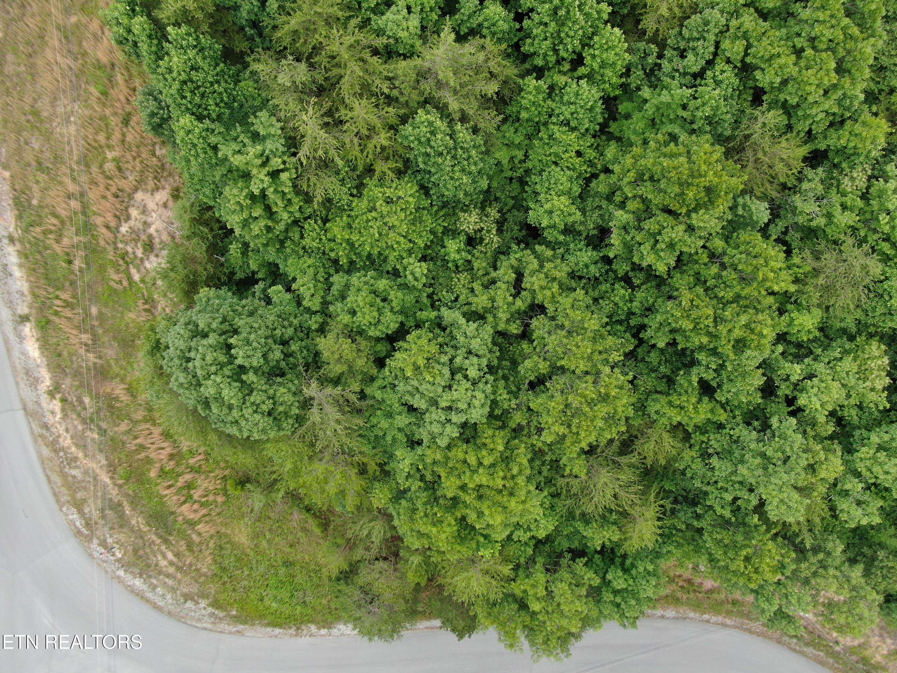 171 Bluff View Road New Tazewell TN 37825