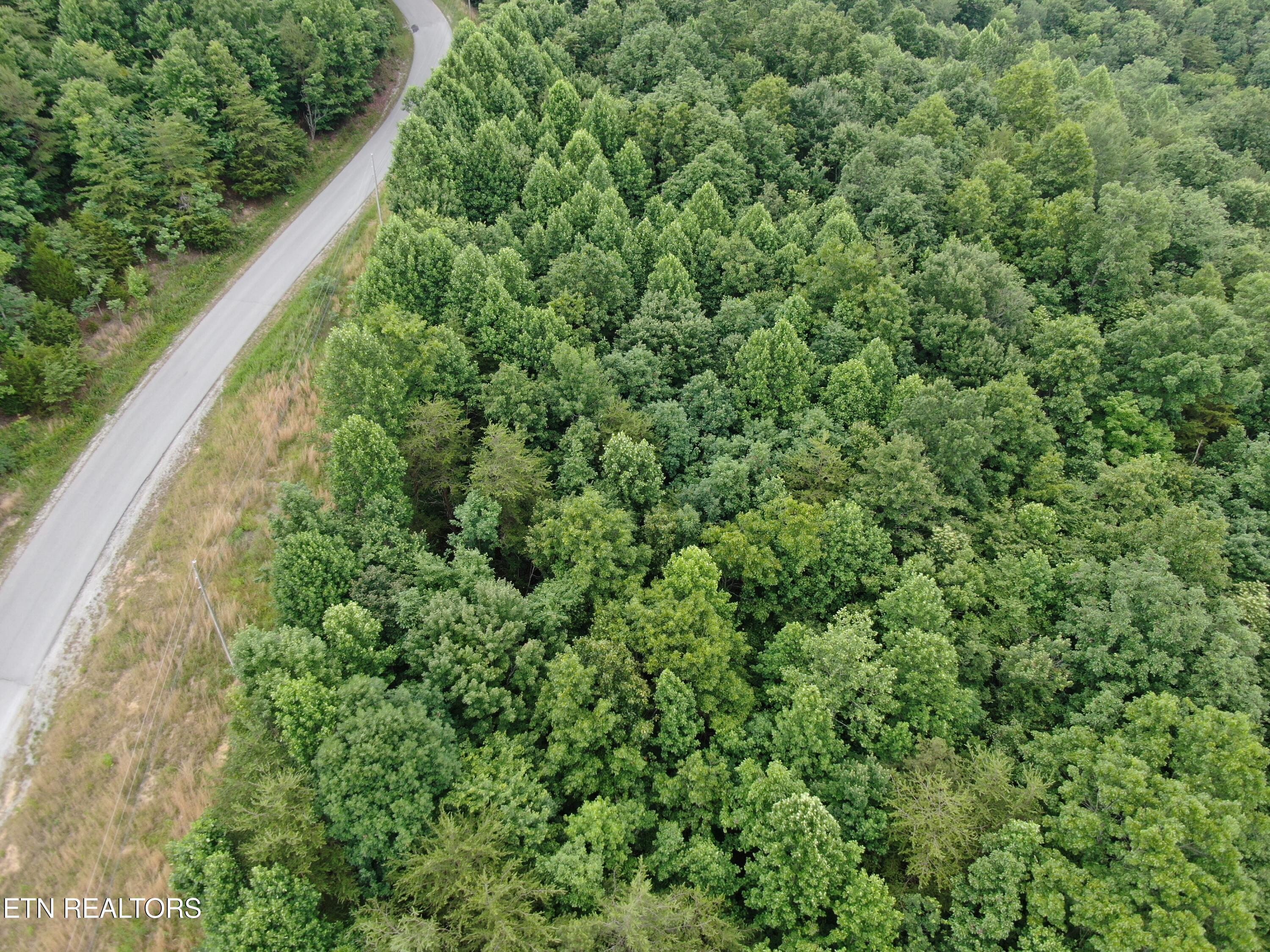 171 Bluff View Road New Tazewell TN 37825