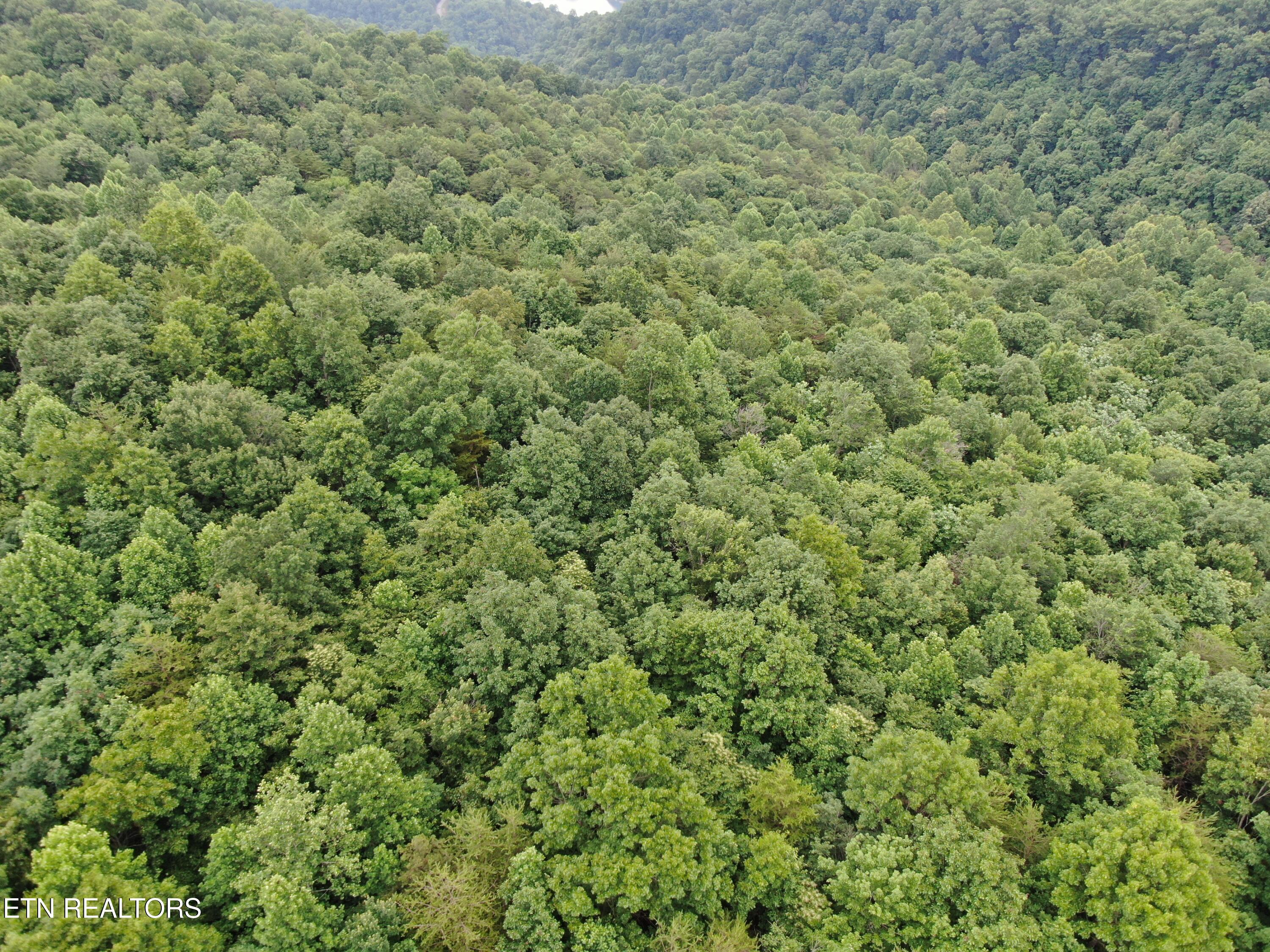 171 Bluff View Road New Tazewell TN 37825