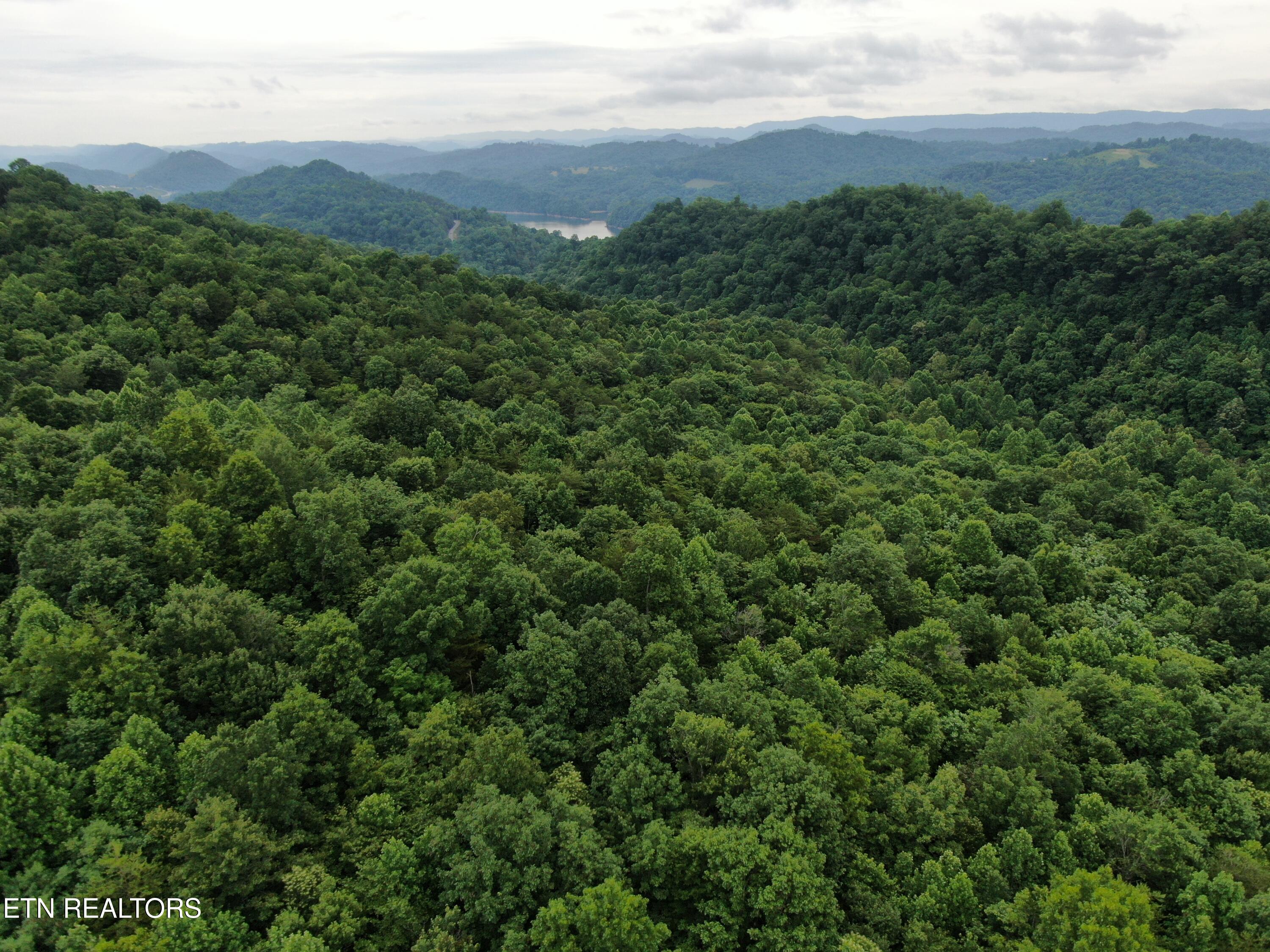 171 Bluff View Road New Tazewell TN 37825