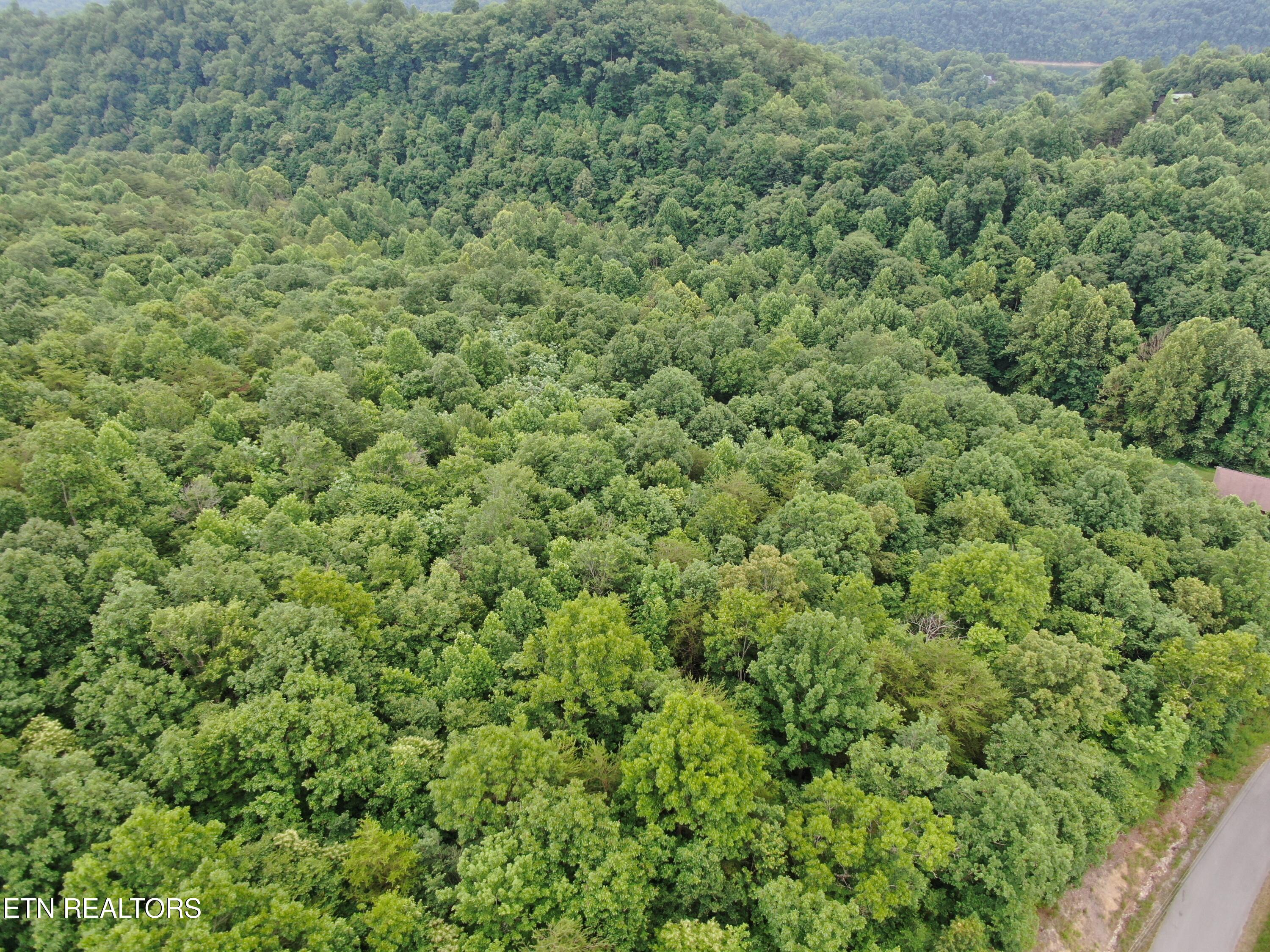 171 Bluff View Road New Tazewell TN 37825