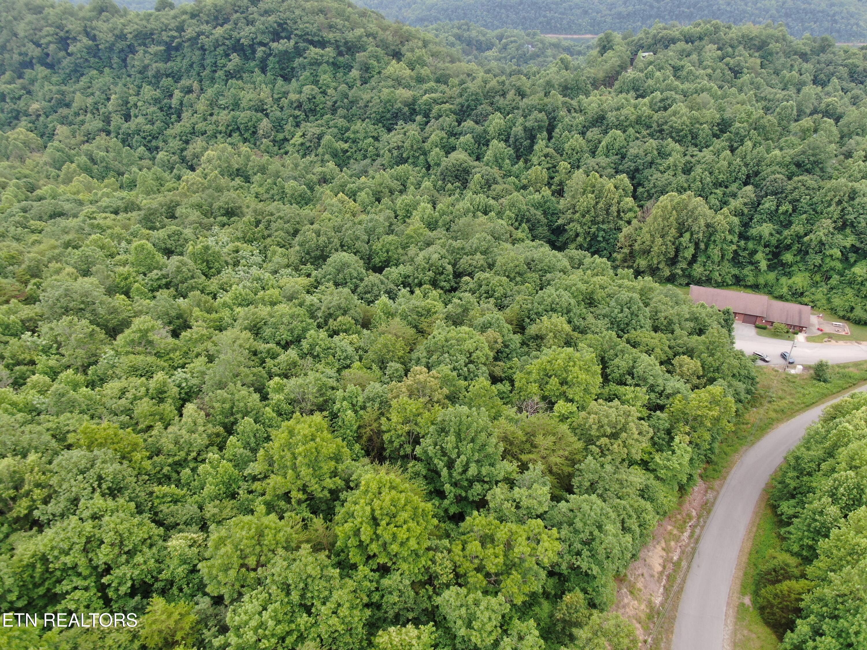 171 Bluff View Road New Tazewell TN 37825