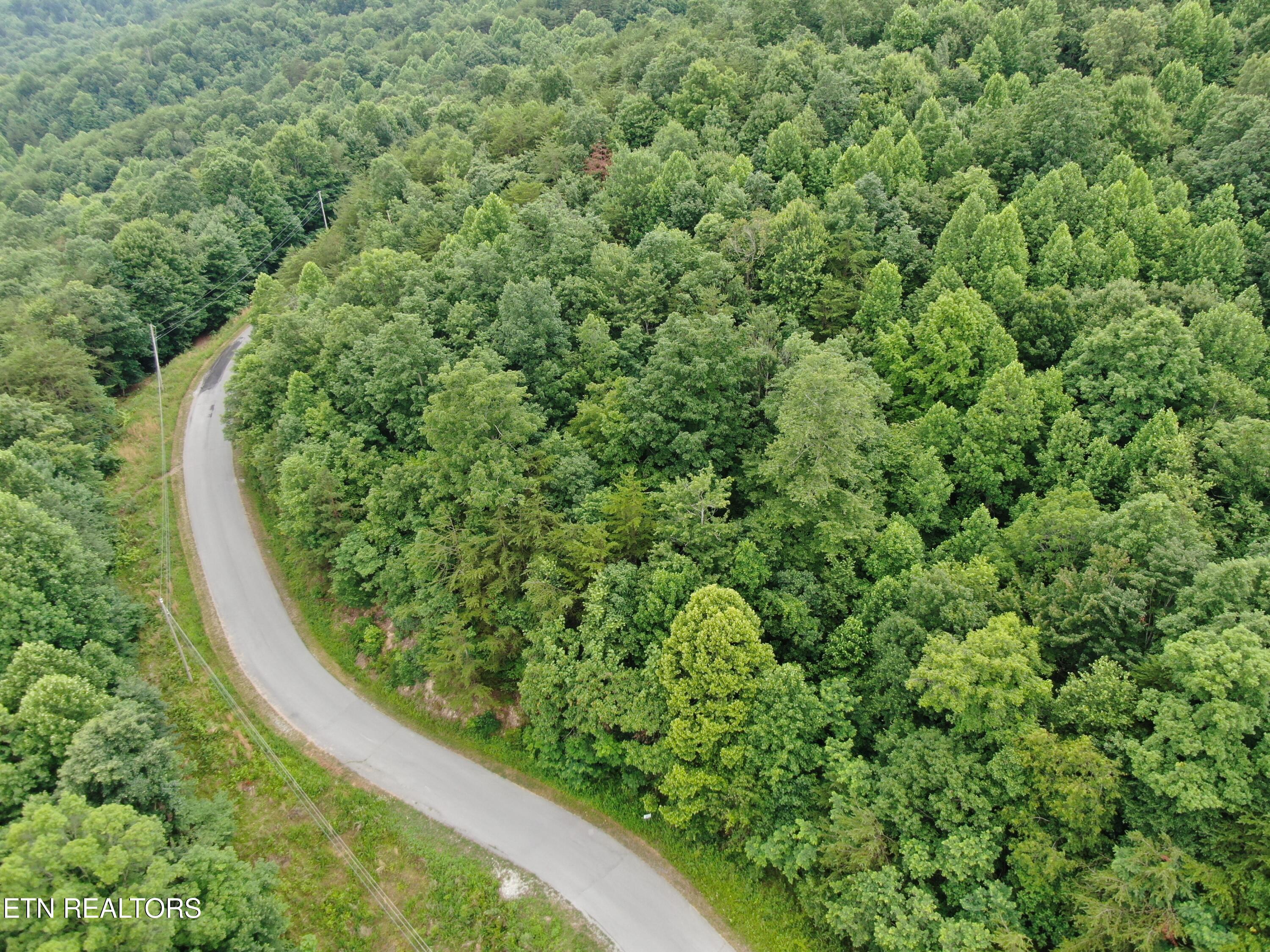 171 Bluff View Road New Tazewell TN 37825