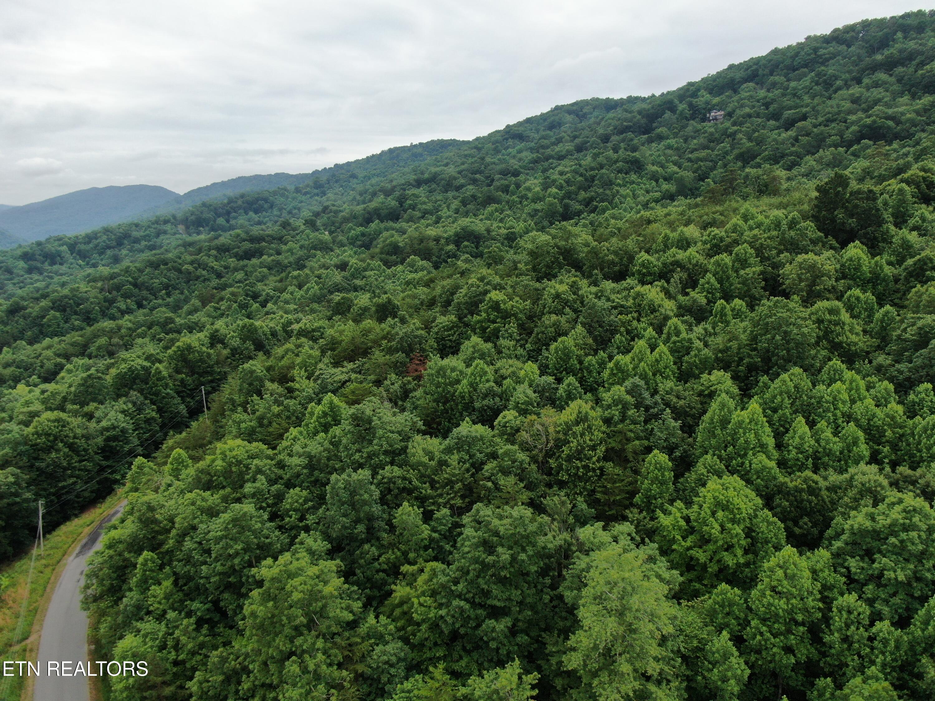 171 Bluff View Road New Tazewell TN 37825