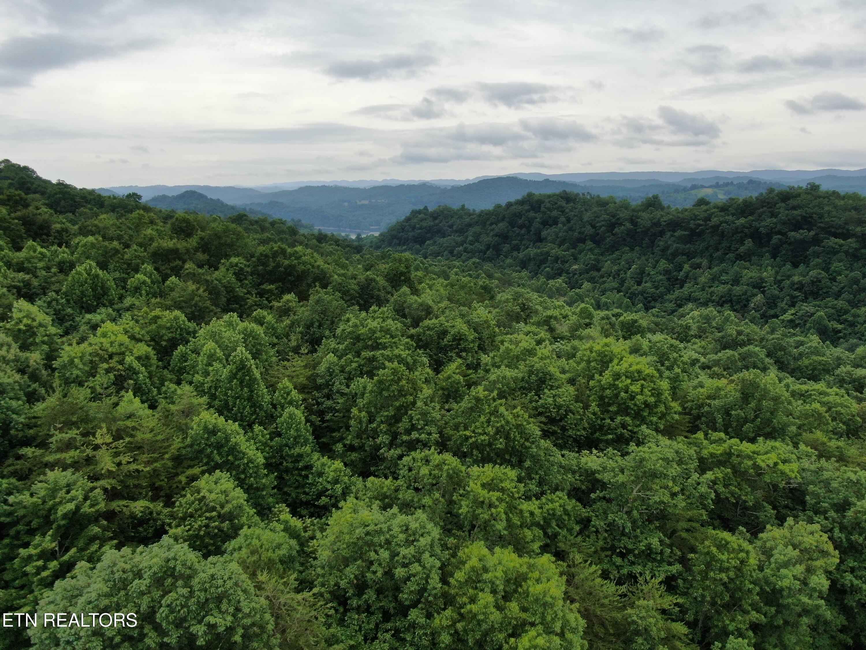 171 Bluff View Road New Tazewell TN 37825