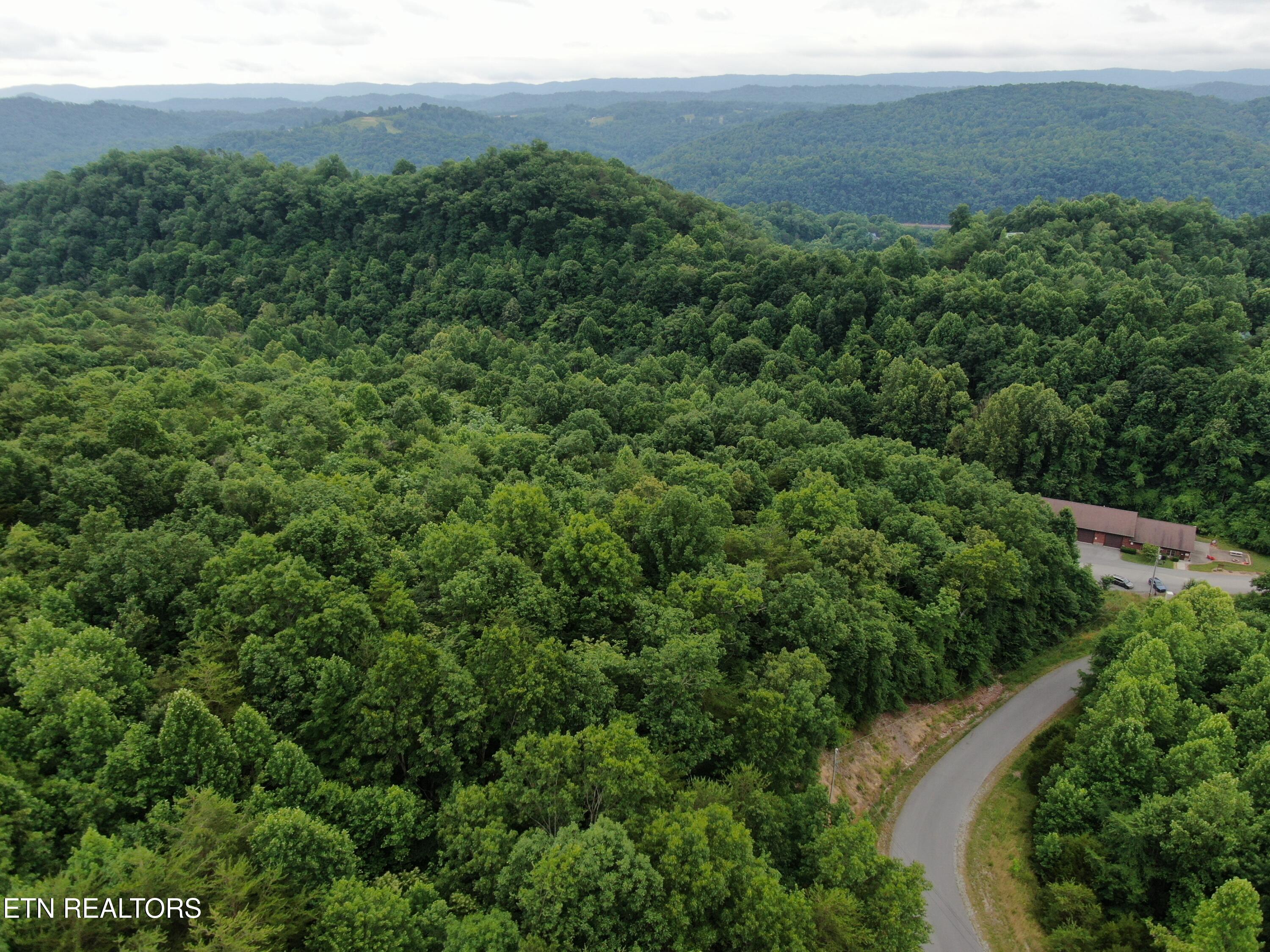 171 Bluff View Road New Tazewell TN 37825