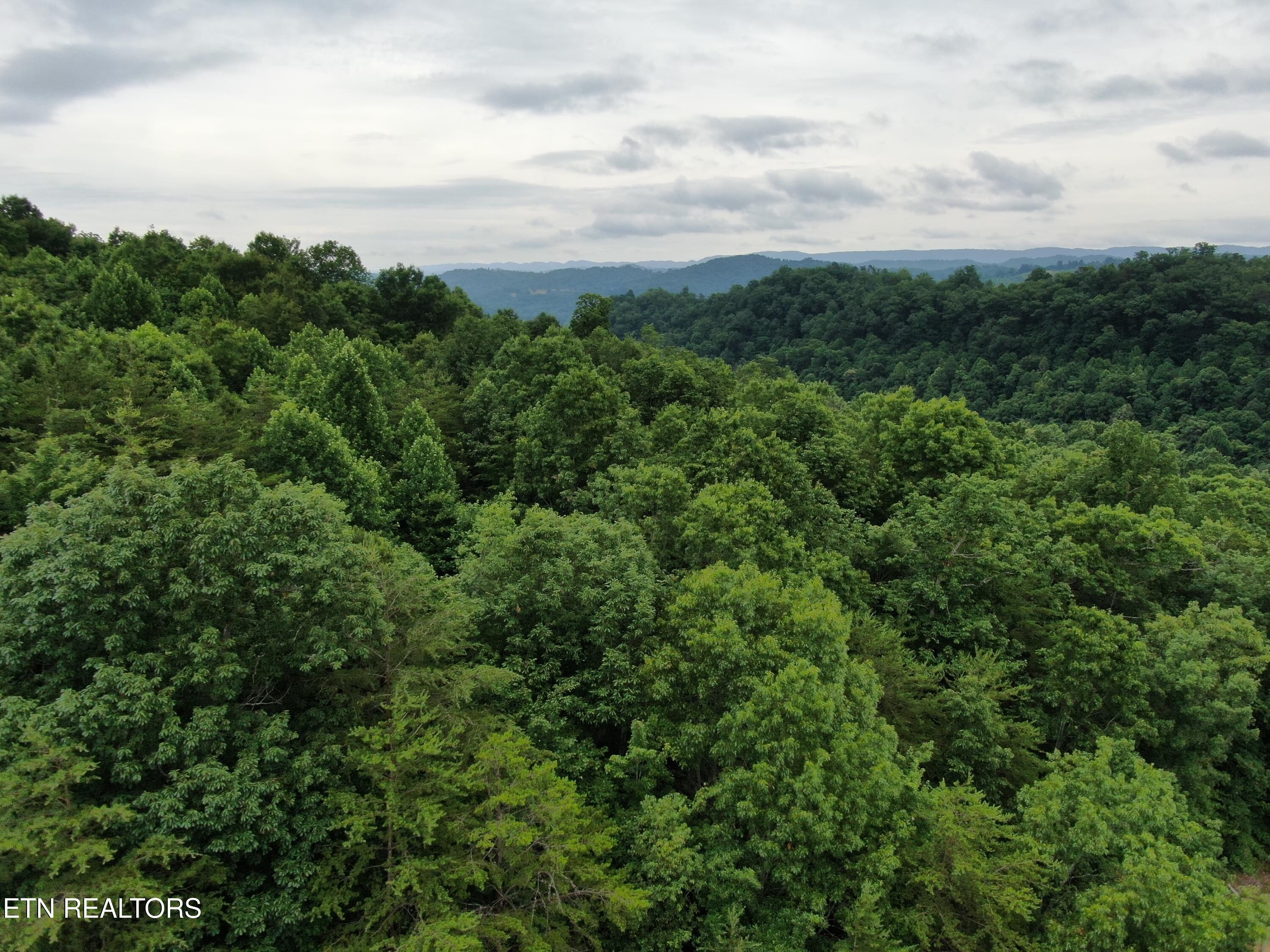 171 Bluff View Road New Tazewell TN 37825