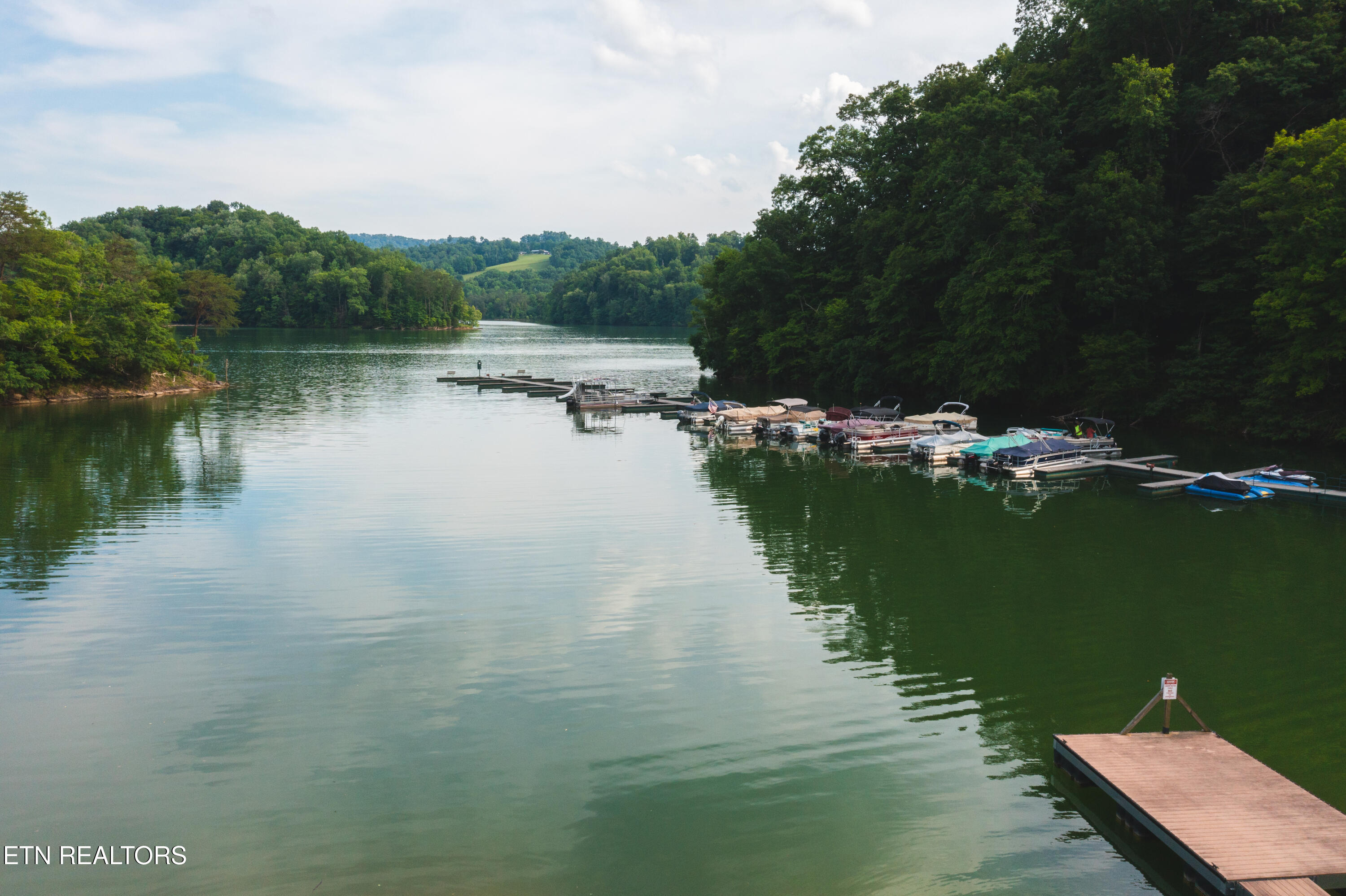 171 Bluff View Road New Tazewell TN 37825