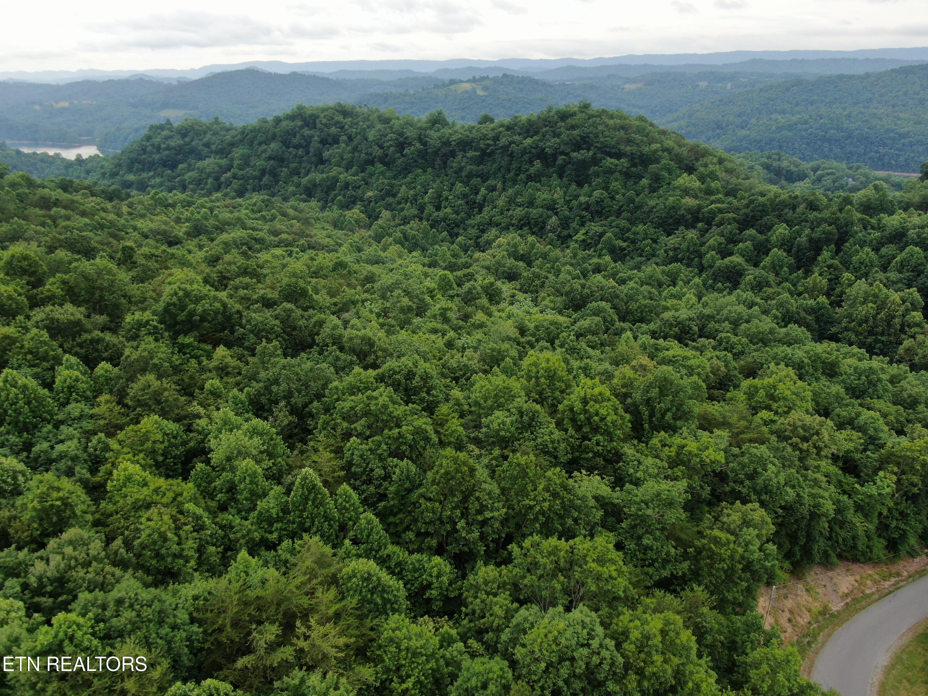 171 Bluff View Road New Tazewell TN 37825