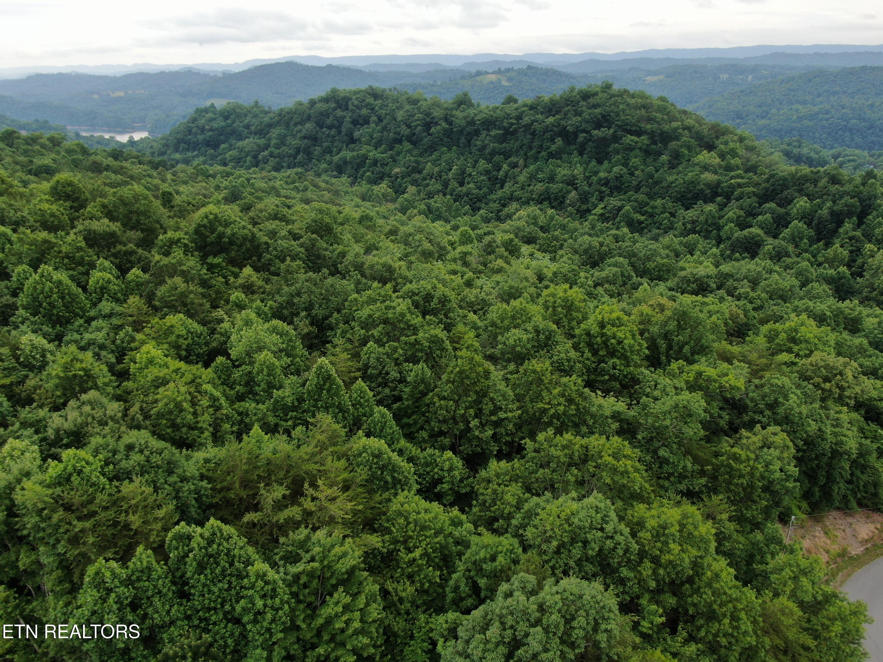 171 Bluff View Road New Tazewell TN 37825