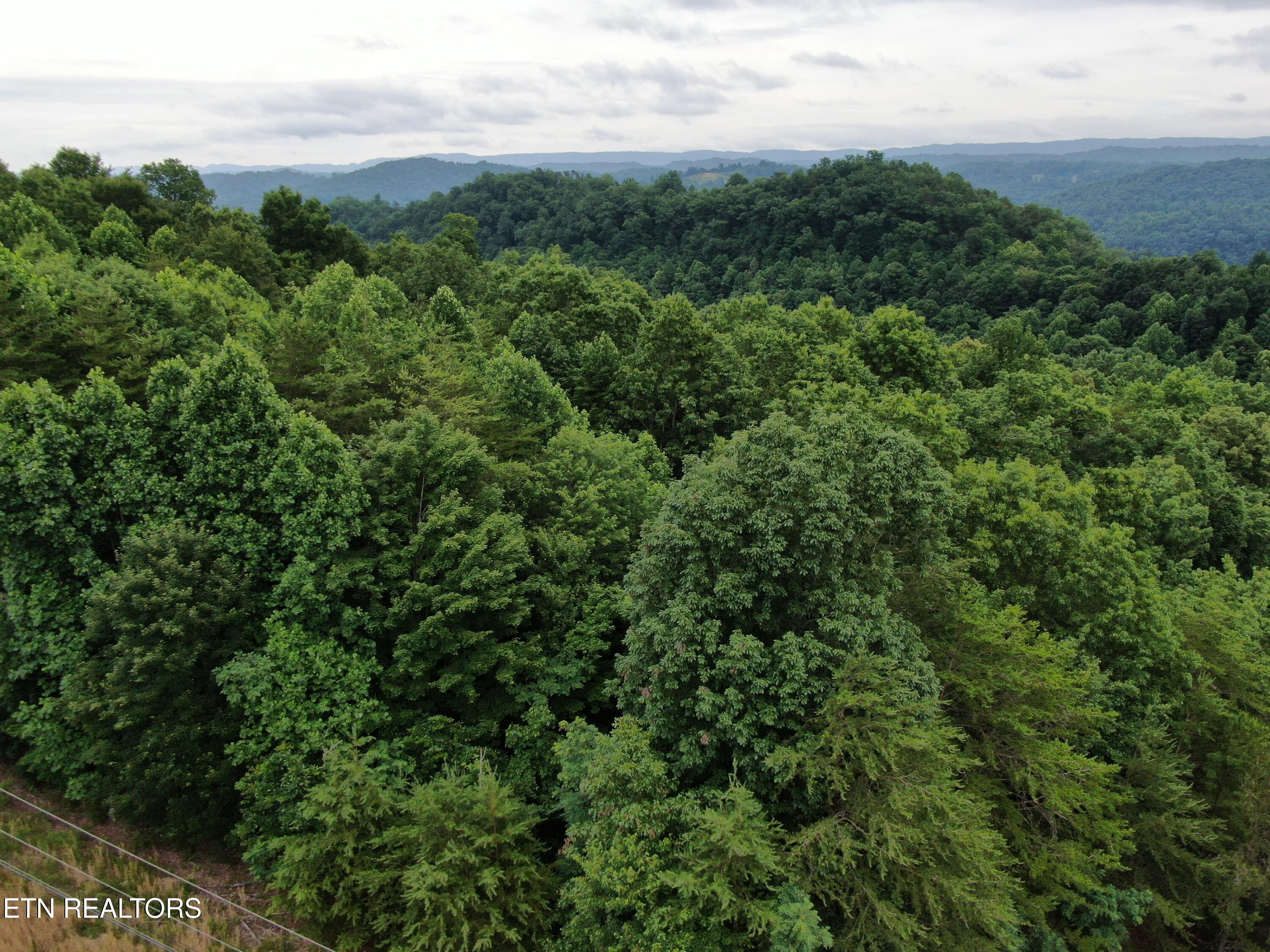 171 Bluff View Road New Tazewell TN 37825
