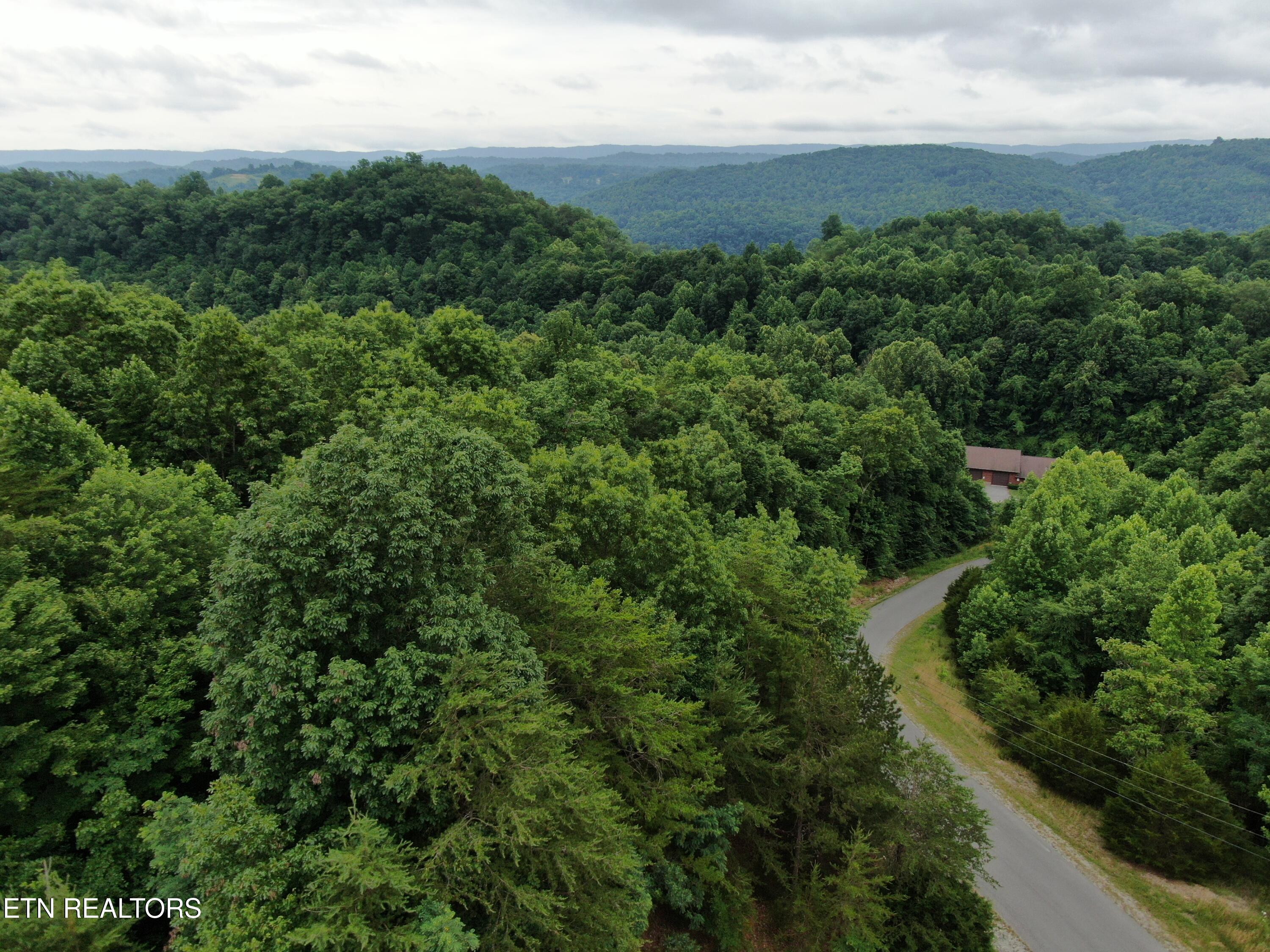 171 Bluff View Road New Tazewell TN 37825