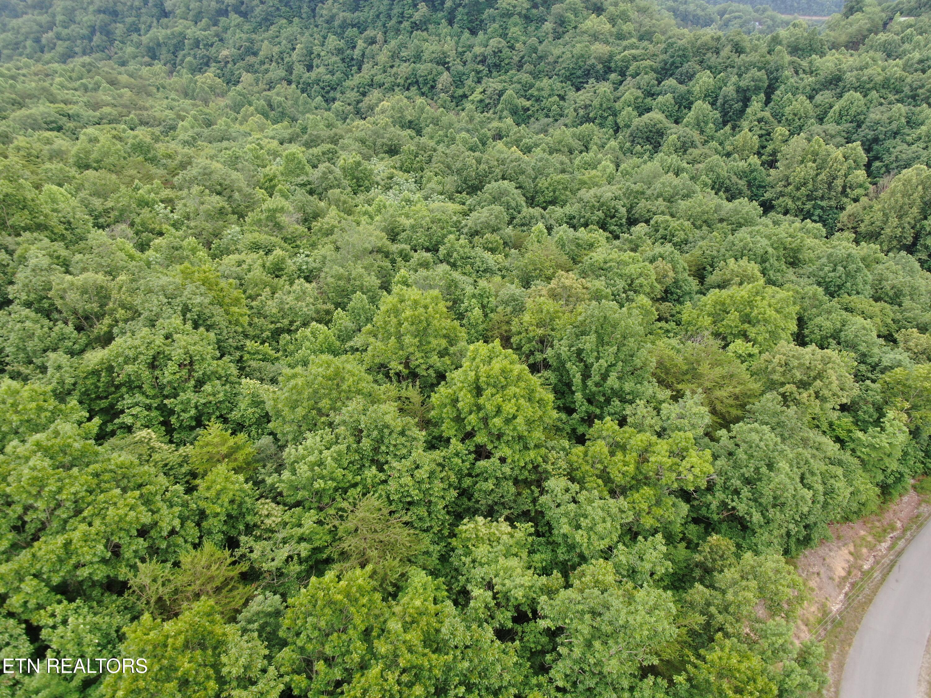 171 Bluff View Road New Tazewell TN 37825