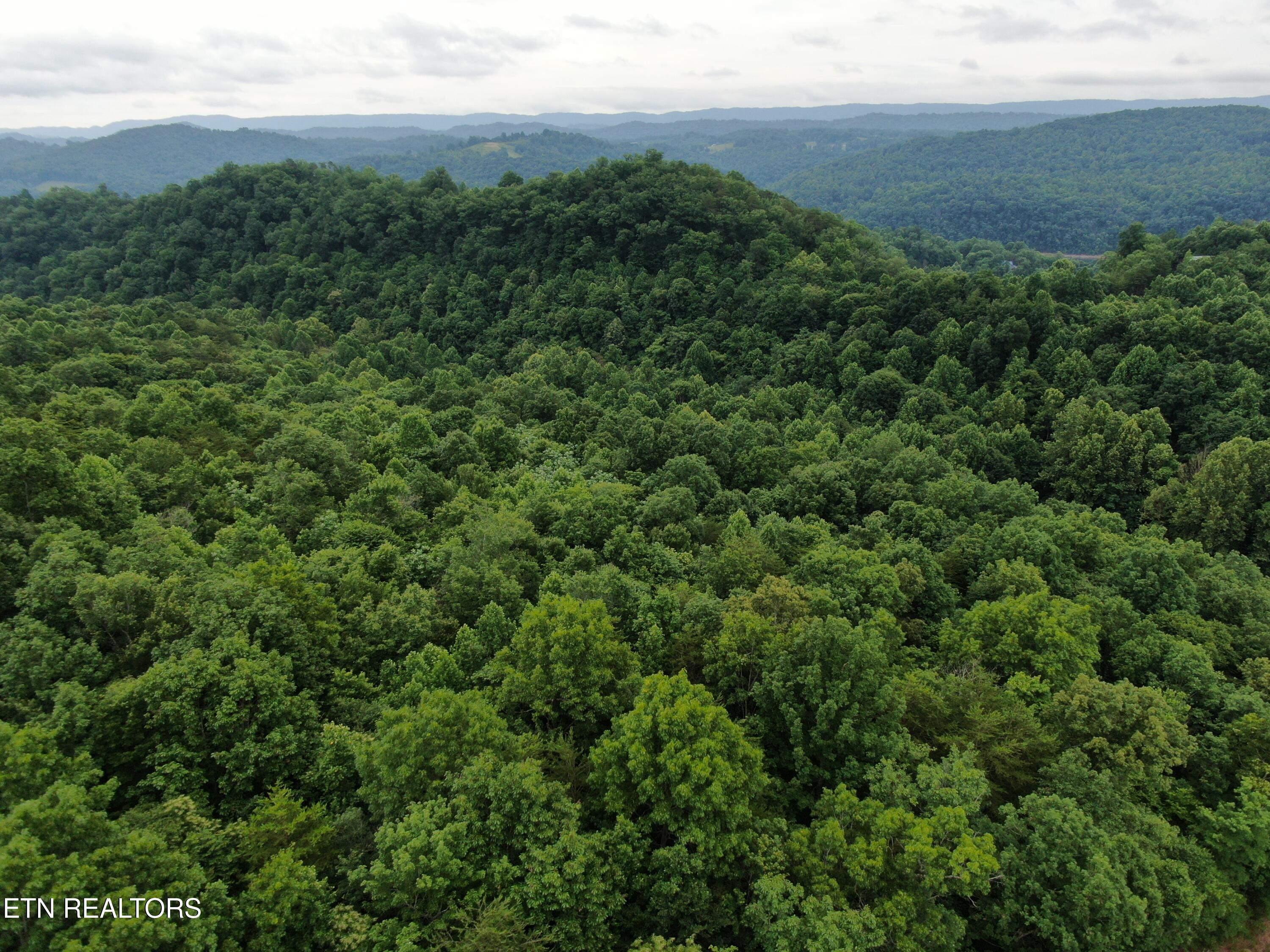 171 Bluff View Road New Tazewell TN 37825