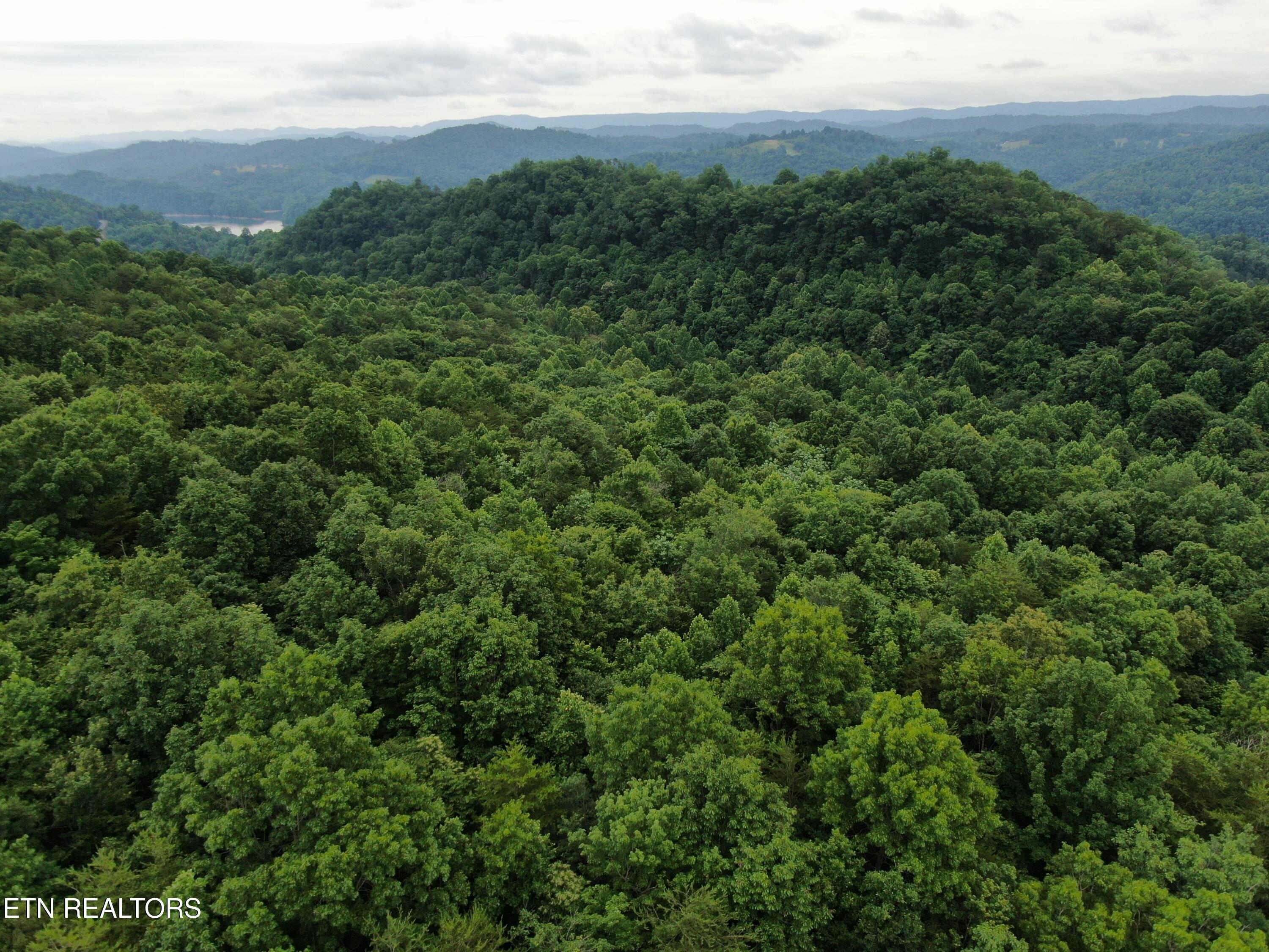 171 Bluff View Road New Tazewell TN 37825