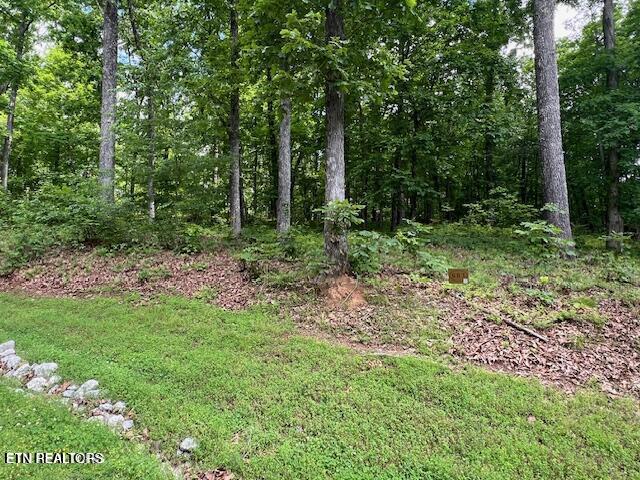 506 Grande Vista Drive Rockwood TN 37854