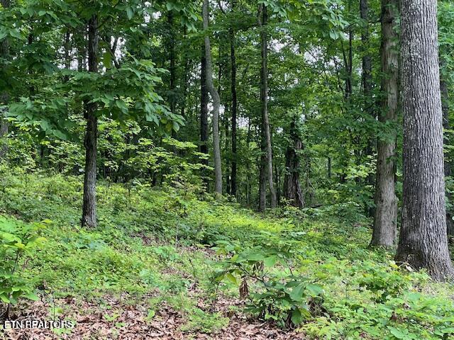 506 Grande Vista Drive Rockwood TN 37854