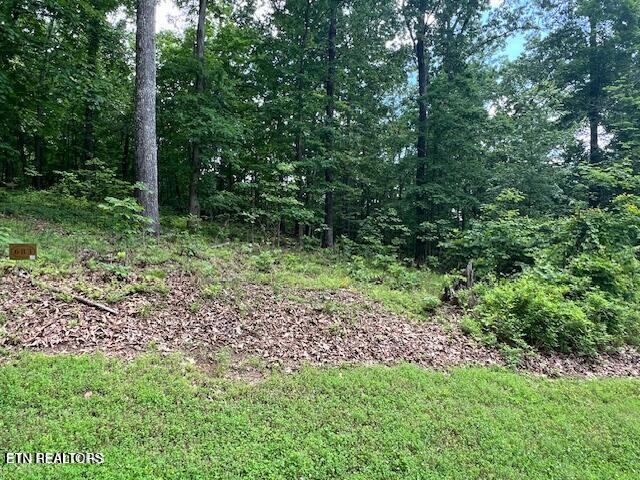 506 Grande Vista Drive Rockwood TN 37854