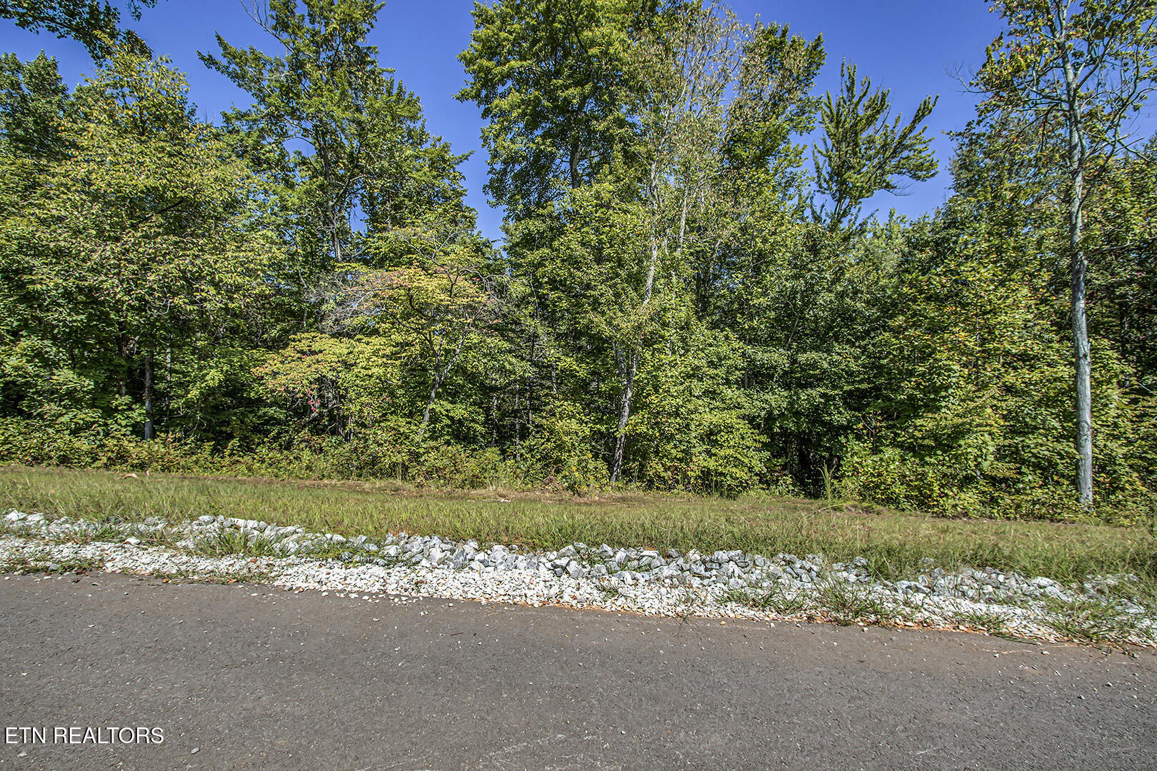 167 Canter Way Lenoir City TN 37771