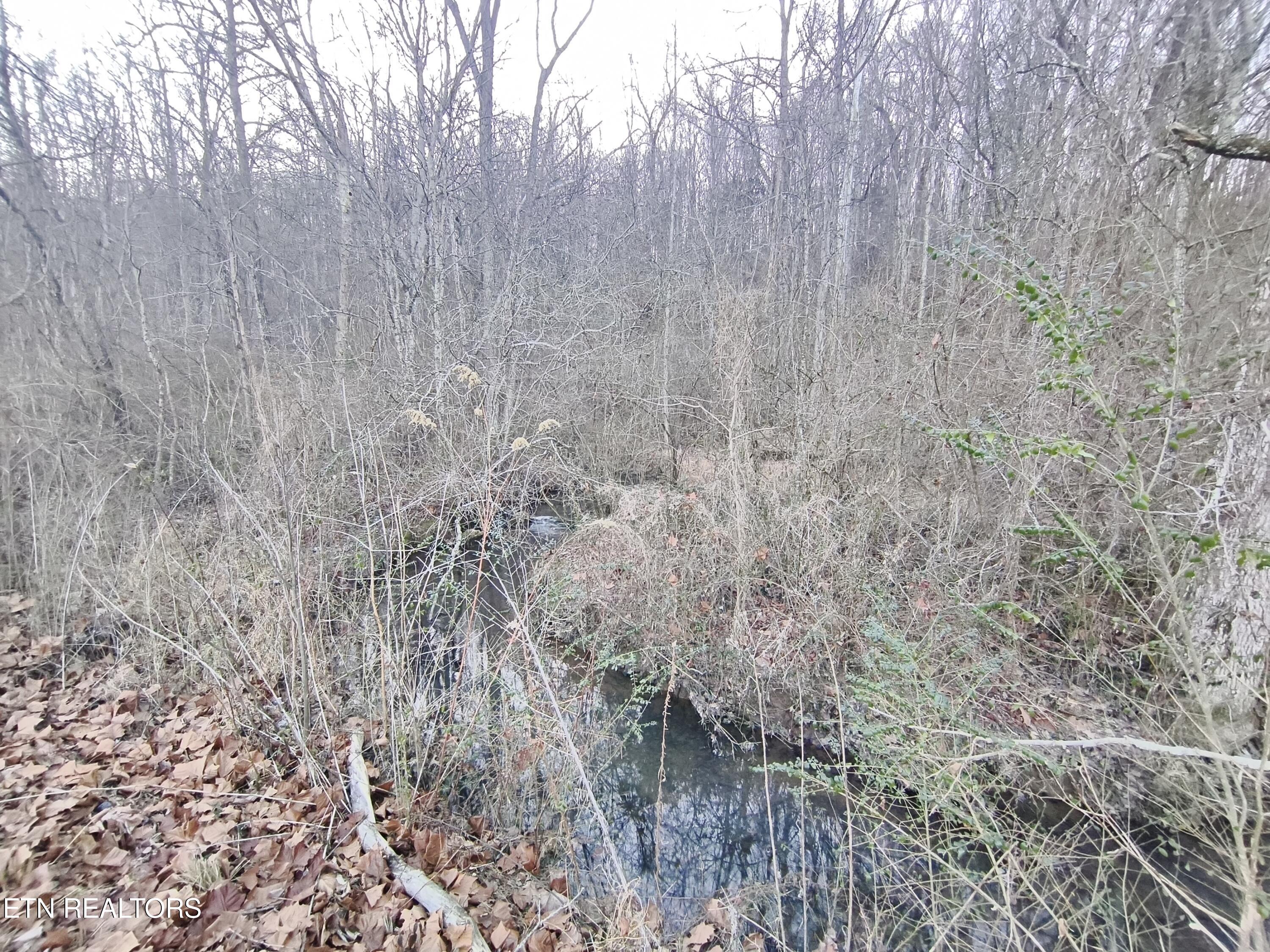 1152 Rifle Range Drive Knoxville TN 37918